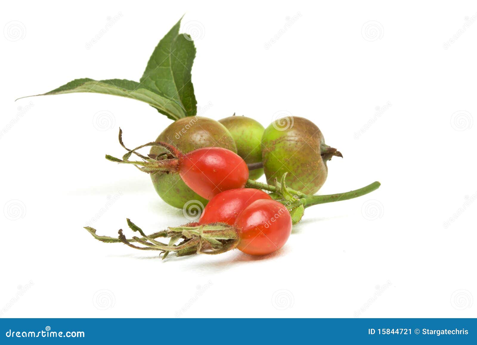 Hedgerow Fruit stock image. Image of green, health, leaves 15844721