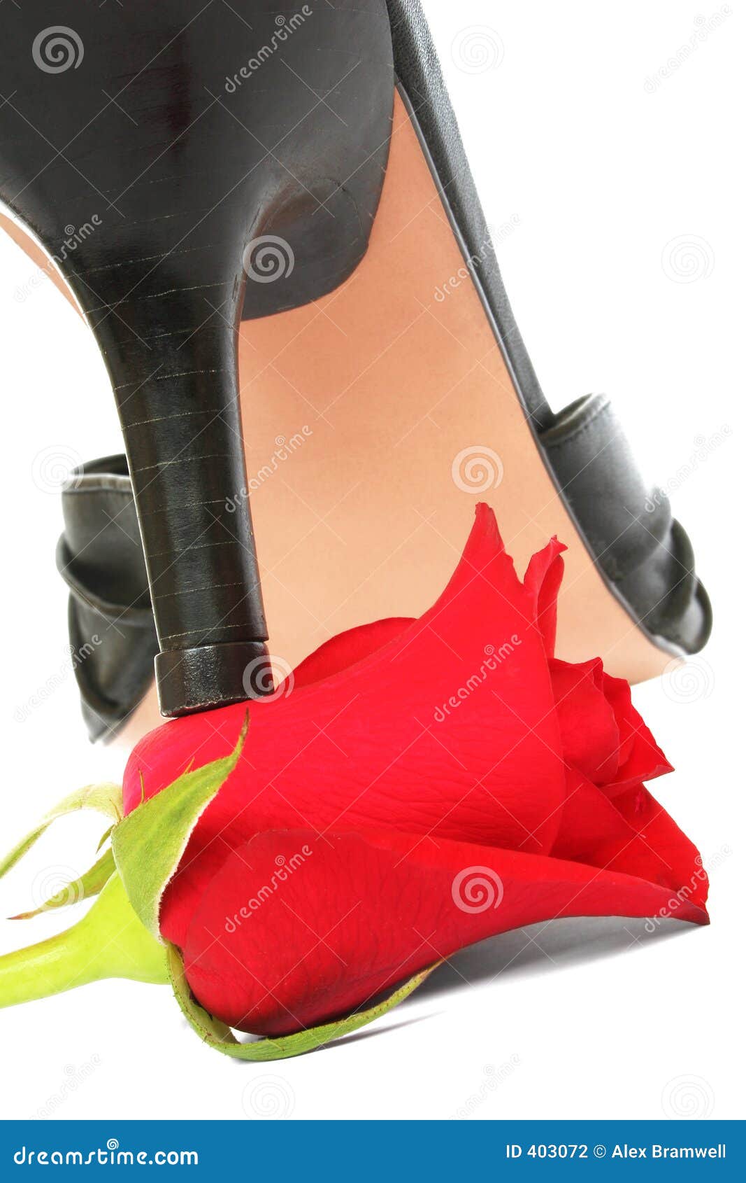 heeland rose