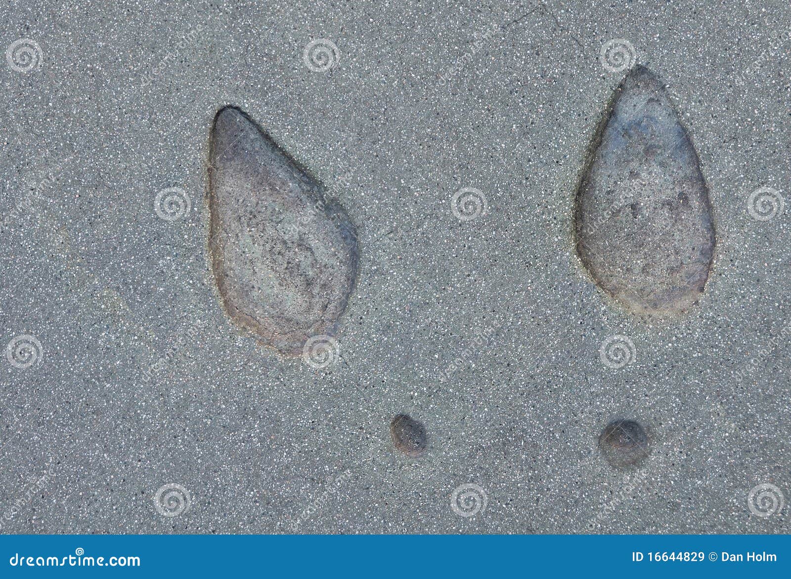 Heels in Cement stock image. Image of heel, chinese, celebrity 16644829