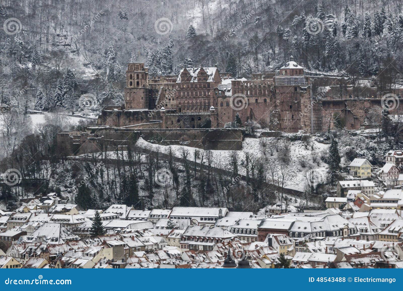 Heidelberg Castle in Winter Stock Photo - Image of forest, germany