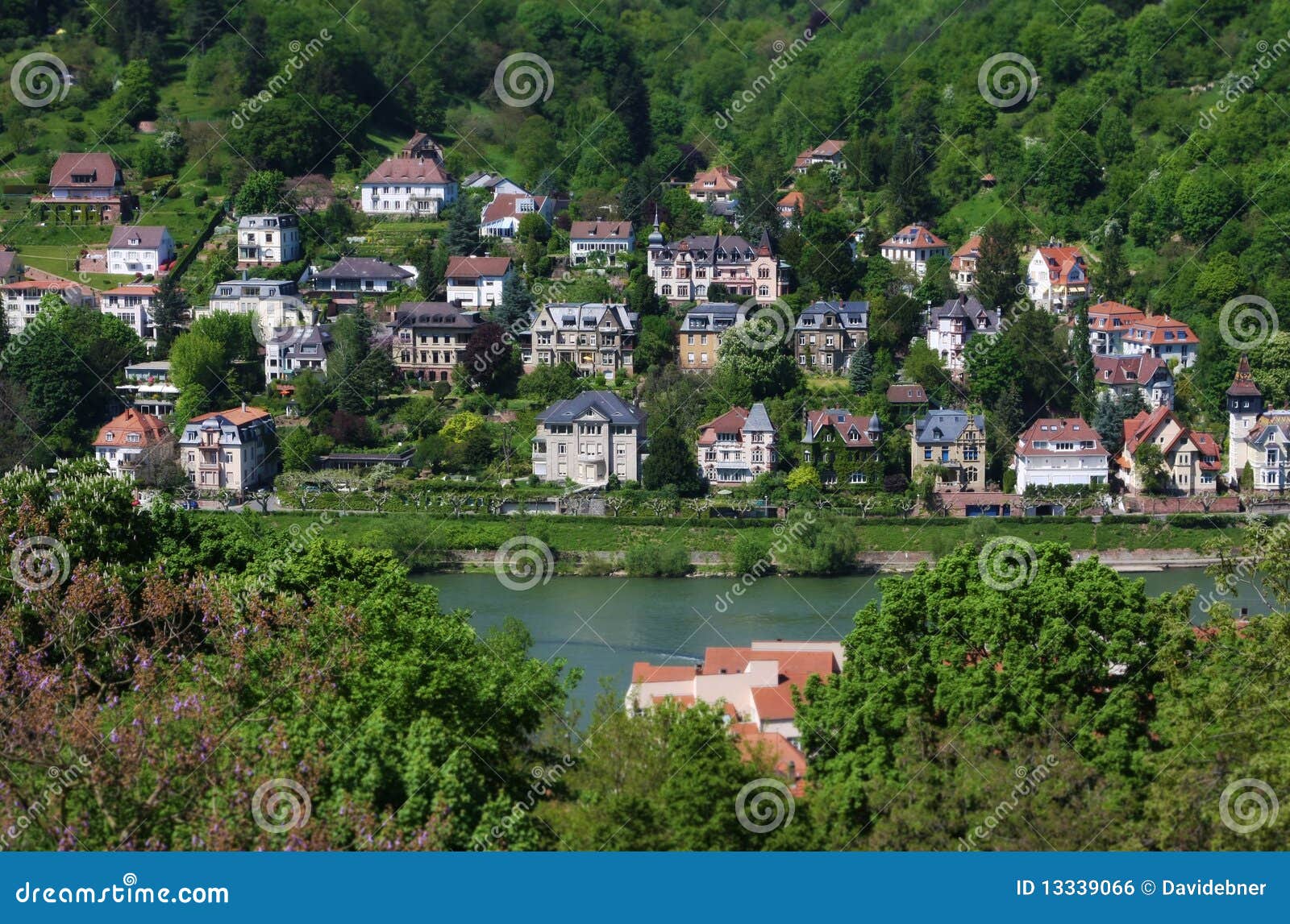 Mansions on the Shore in Heidelberg Germany Stock Photo Image of
