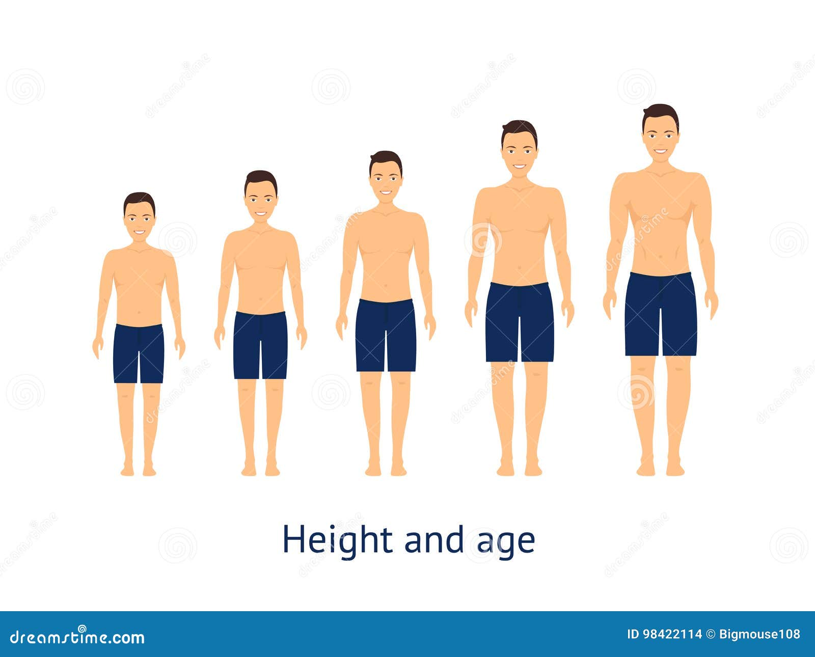 Height and Age Stage of Growth from Boy To Man. Vector Stock Vector