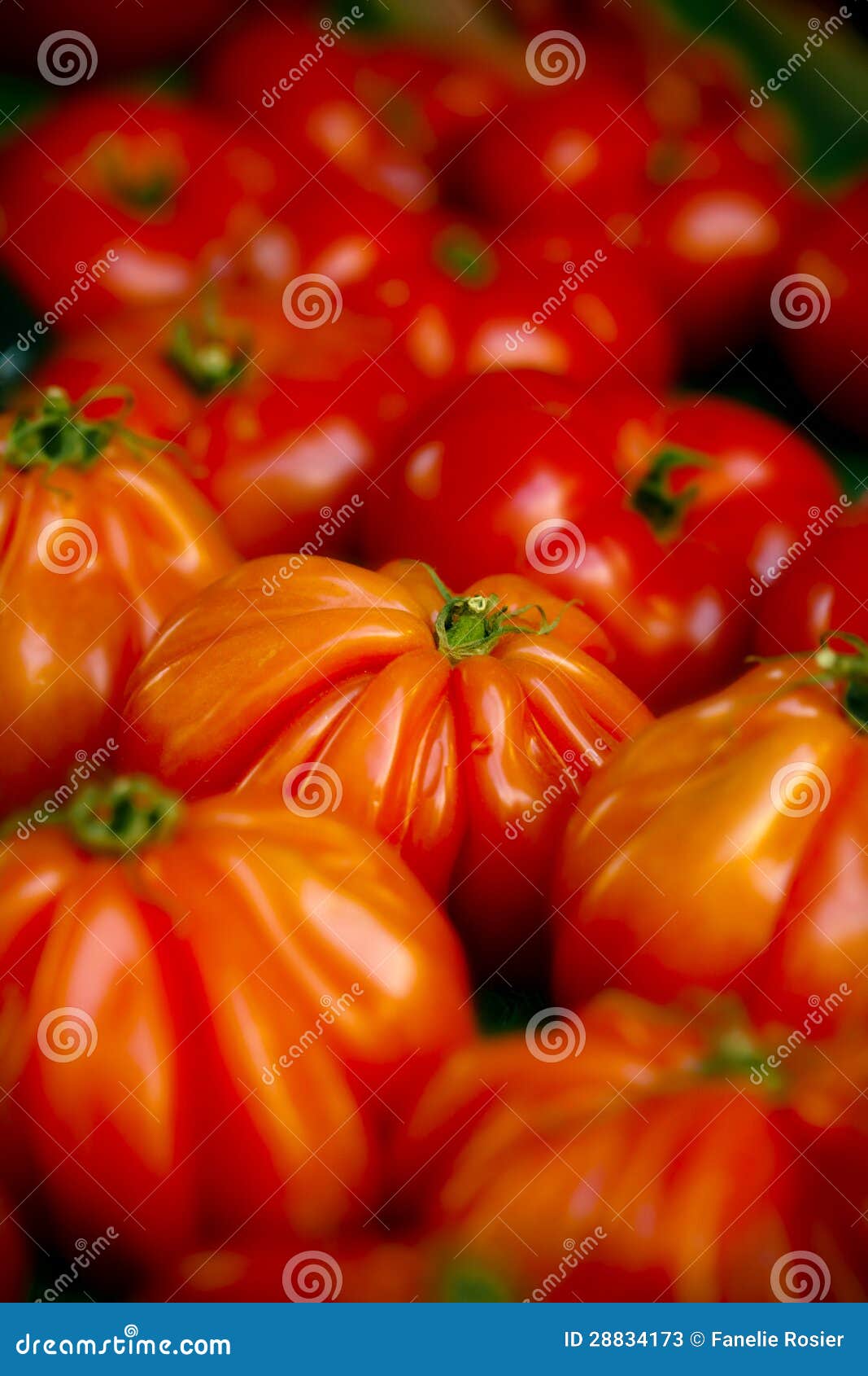 Heirloom tomatoes stock image. Image of delicious, pile 28834173