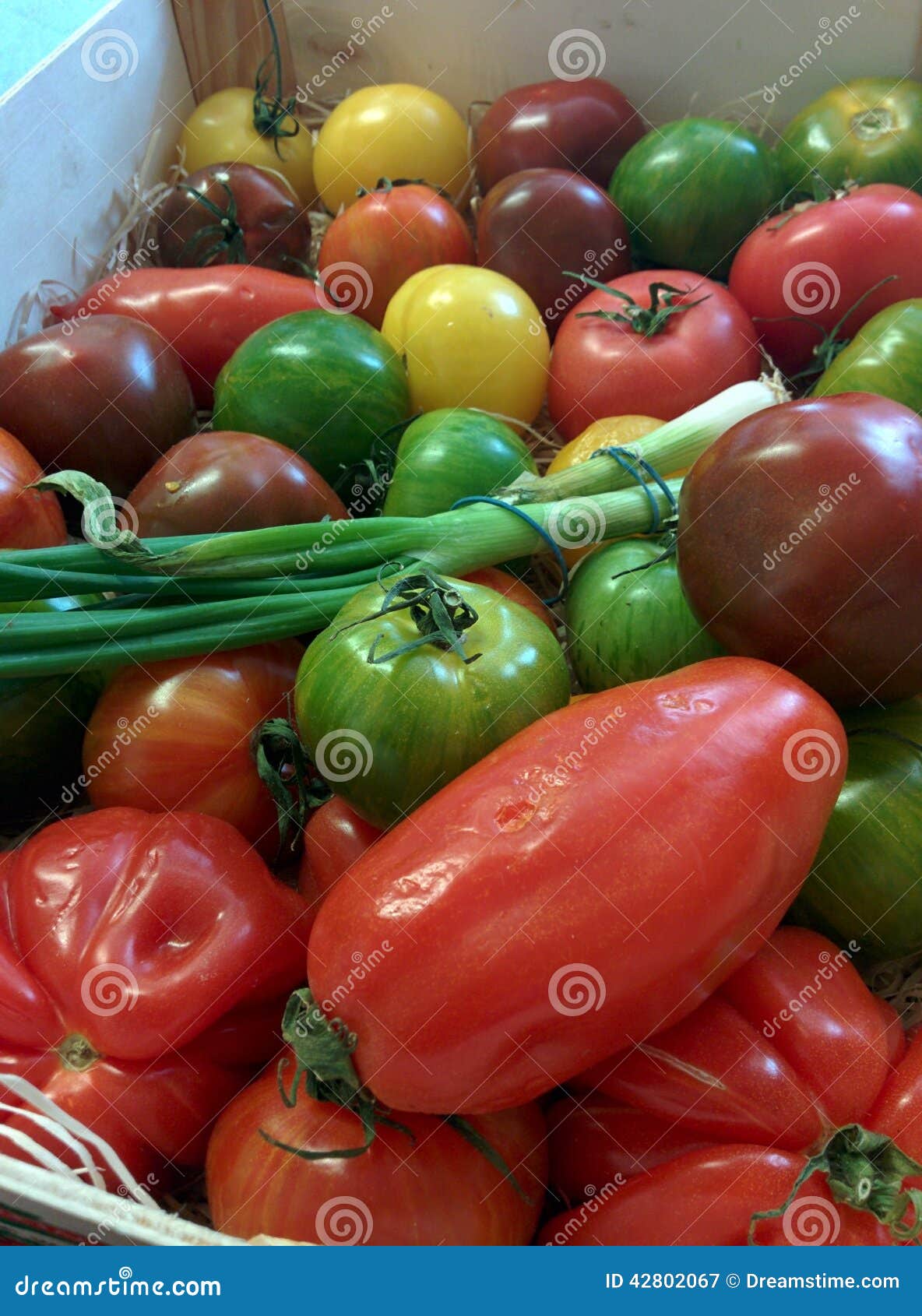 Heirloom Tomatoes stock image. Image of goats, crabley 42802067