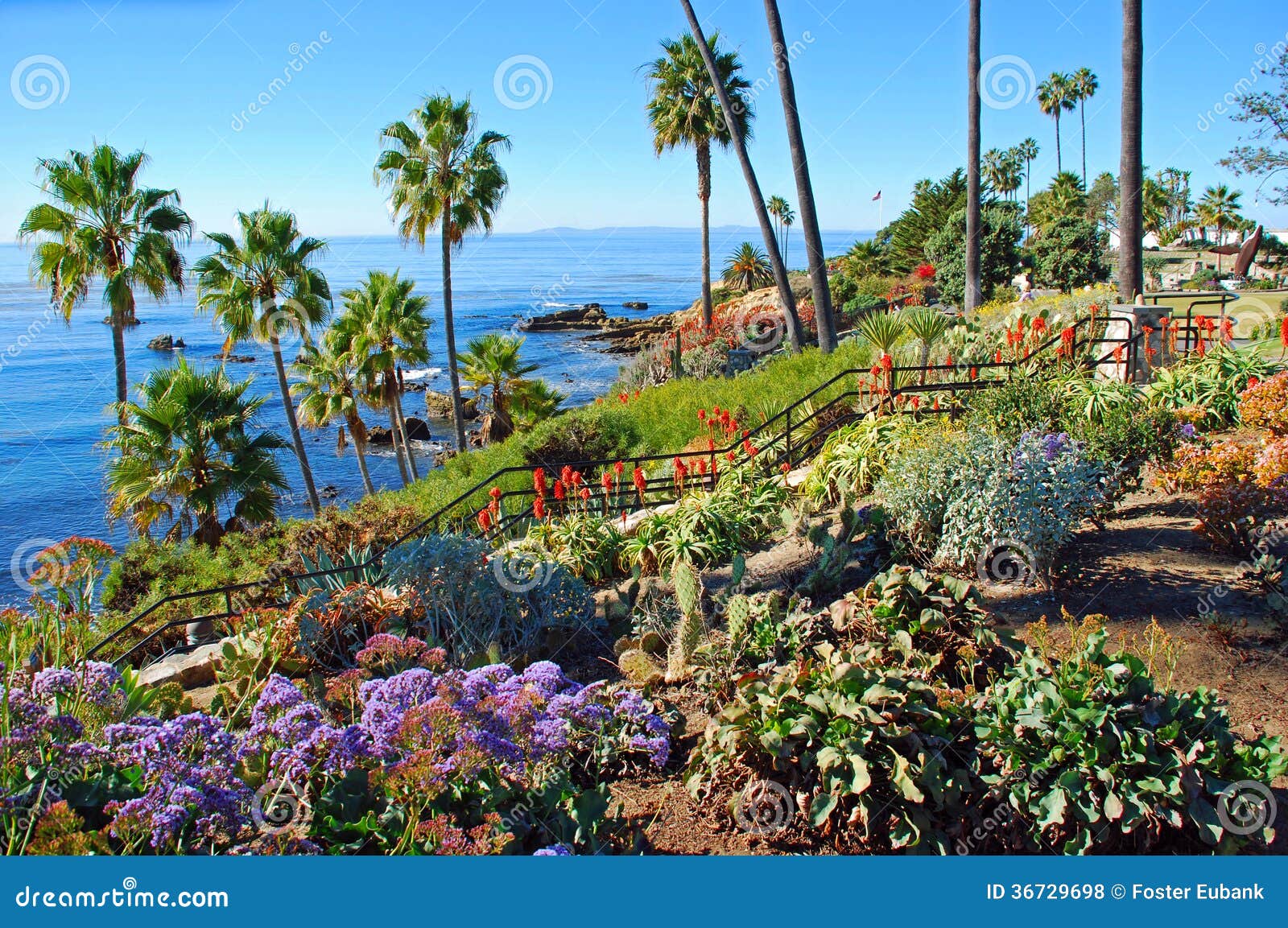 heisler park landscaped gardens, laguna beach, california.