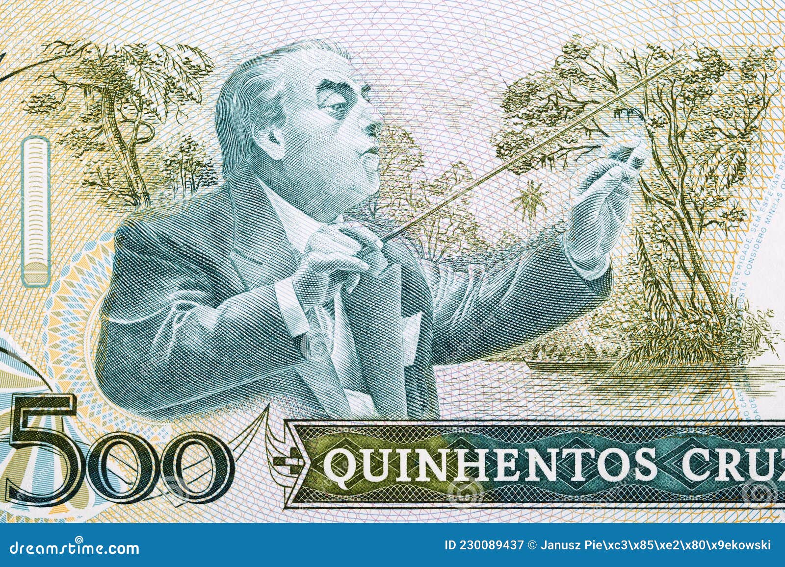 heitor villa-lobos a portrait from old brazilian money