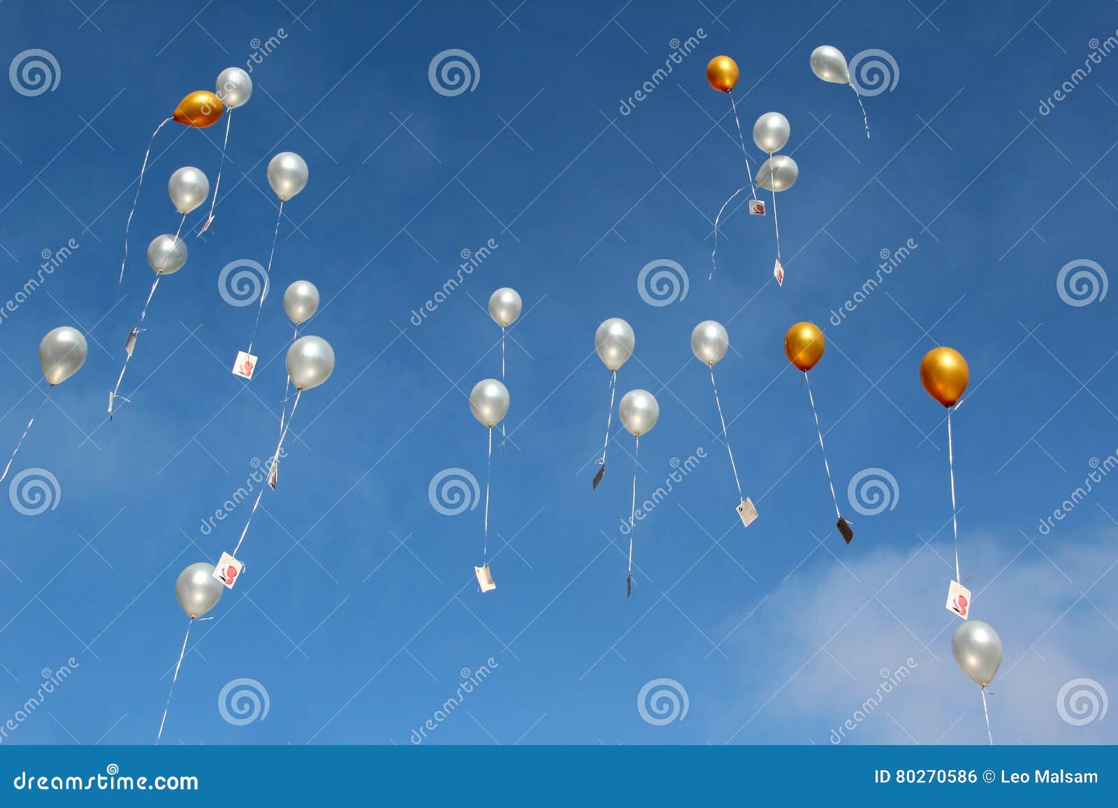 Helium Filled Party Balloons Stock Photo Image of white, blue 80270586