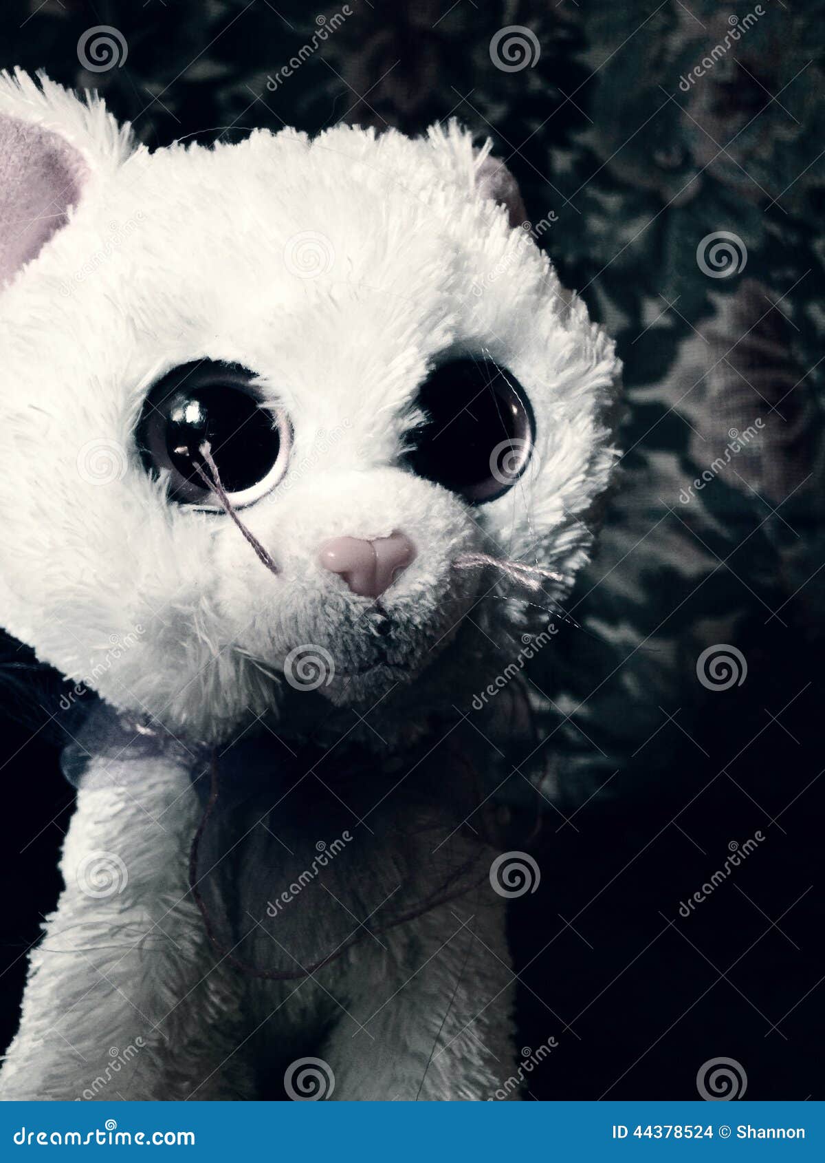 Hello creepy kitty stock photo. Image of kitty, plush - 44378524