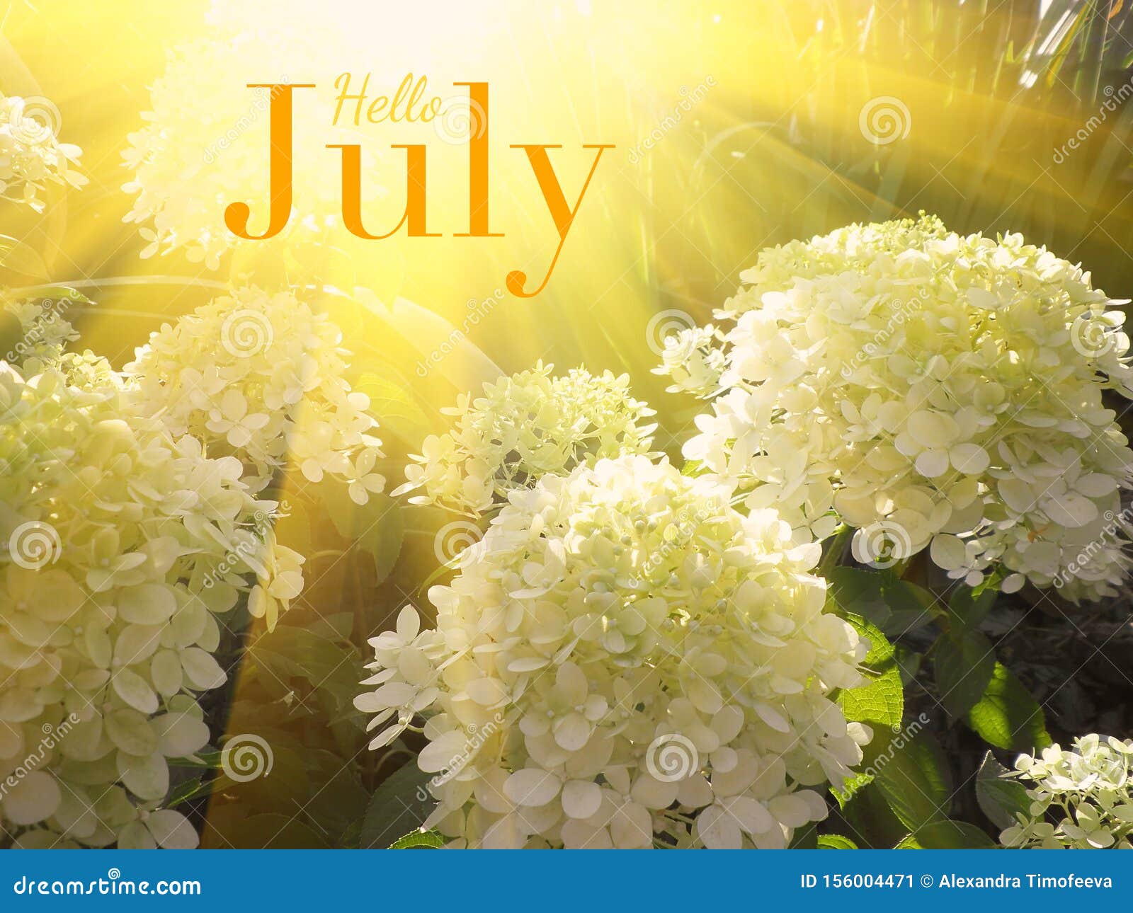 Hello July - Inspirational Motivation Quote Stock Image - Image of