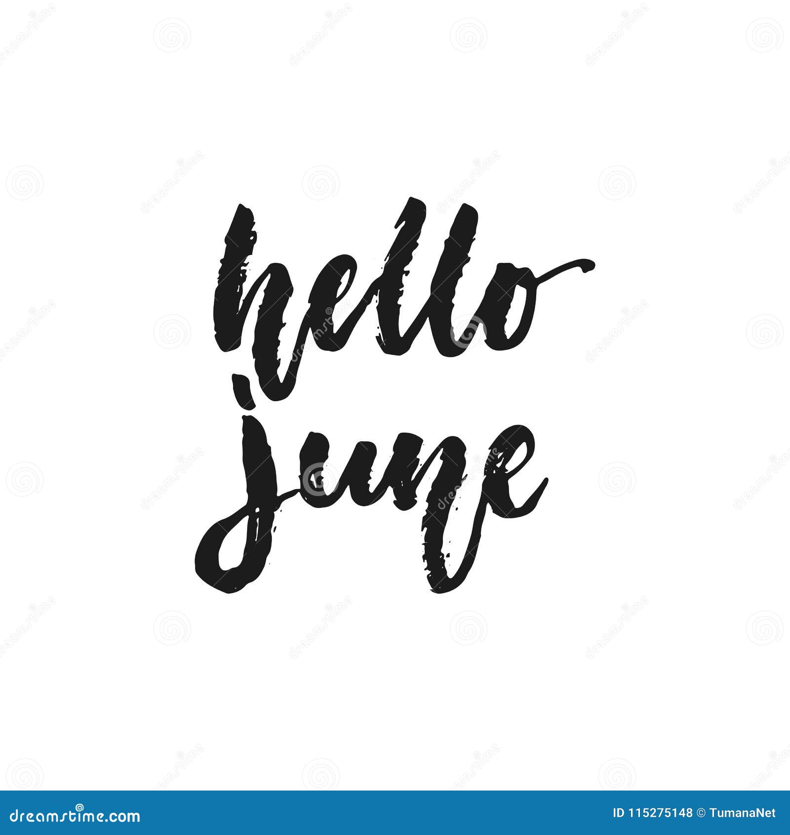 hello june - hand drawn seasons holiday lettering phrase  on the white background. fun brush ink 