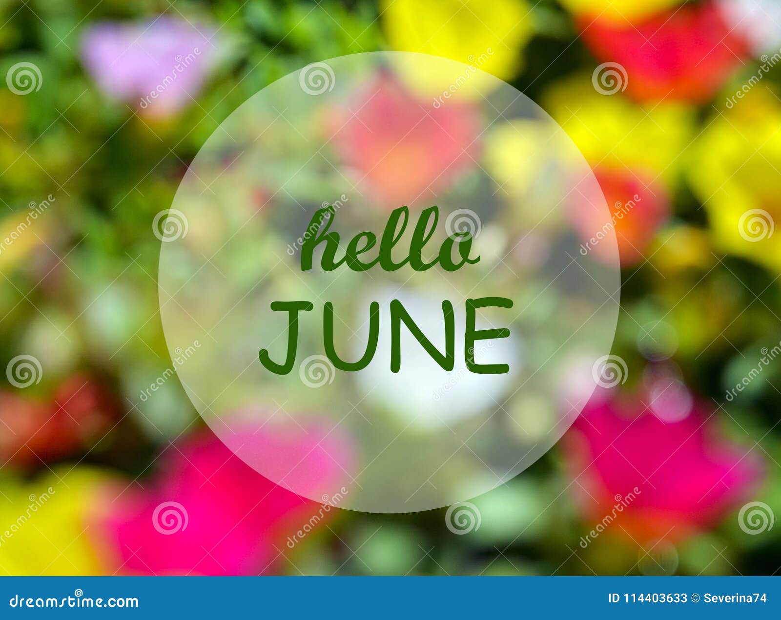 hello june.welcoming card with text on natural blurred floral background.summertime concept.