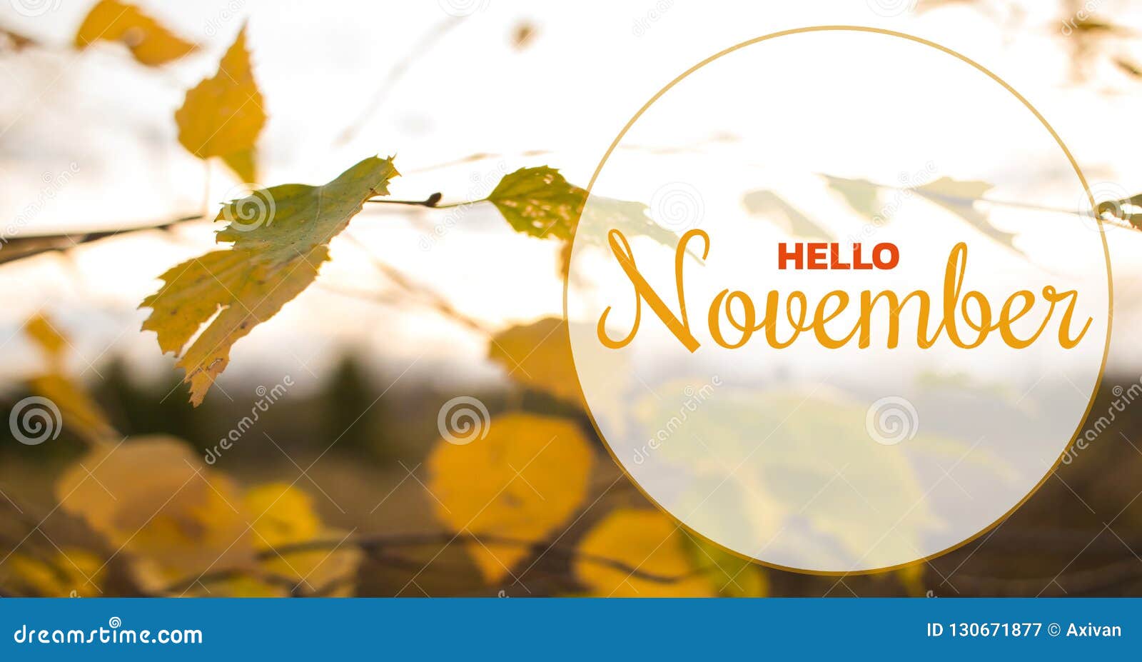 hello november autumn composition. yellow and orange leaves on sky background