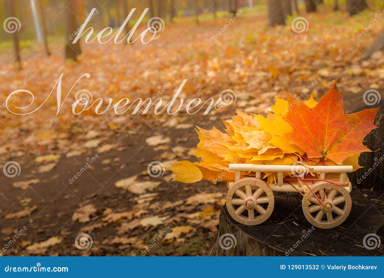 Hello November Greeting Card Autumn Maple Leaves Stock Photo Image Of Nature Beautiful 129013532