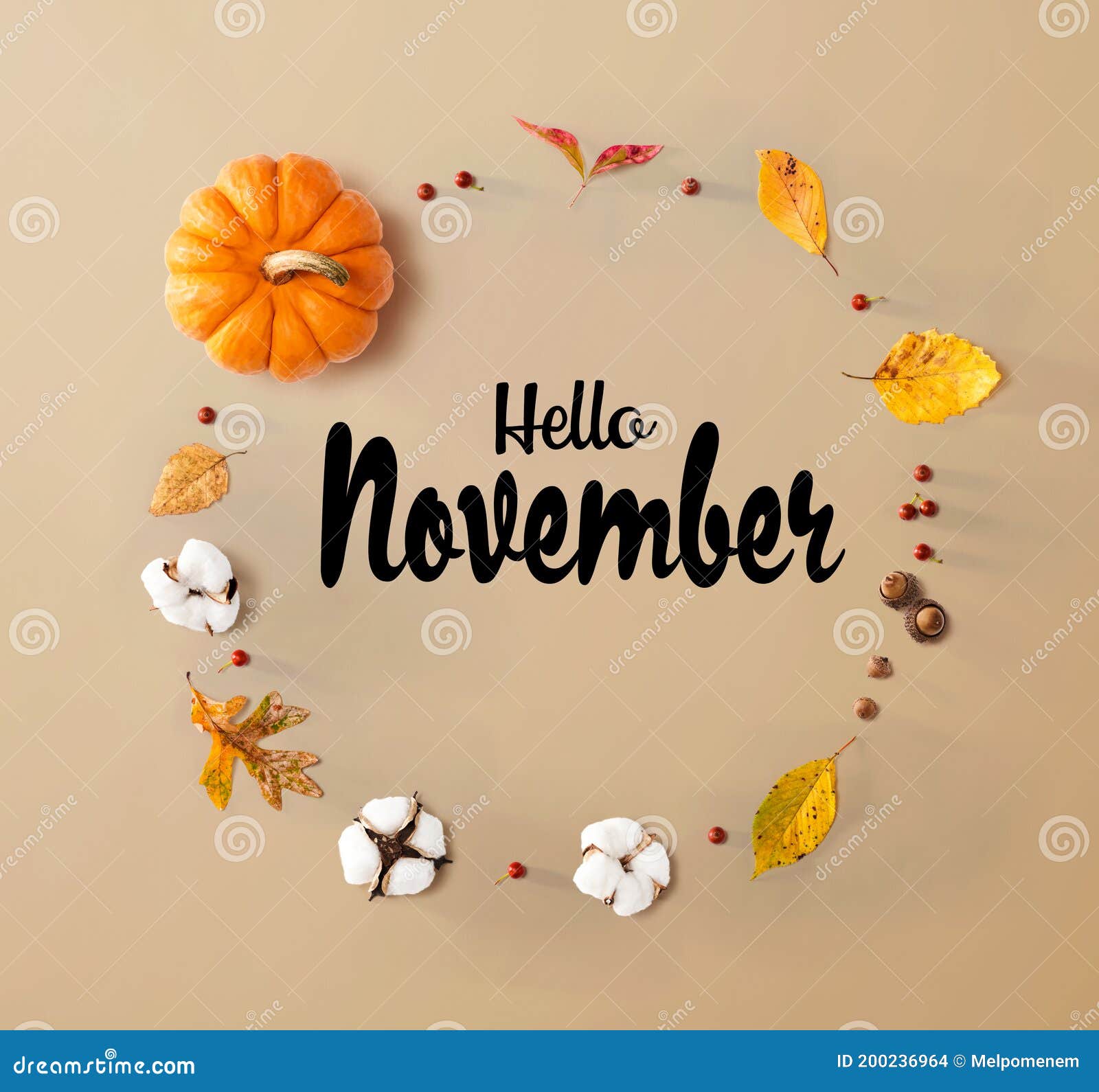 hello november message with autumn leaves and orange pumpkin