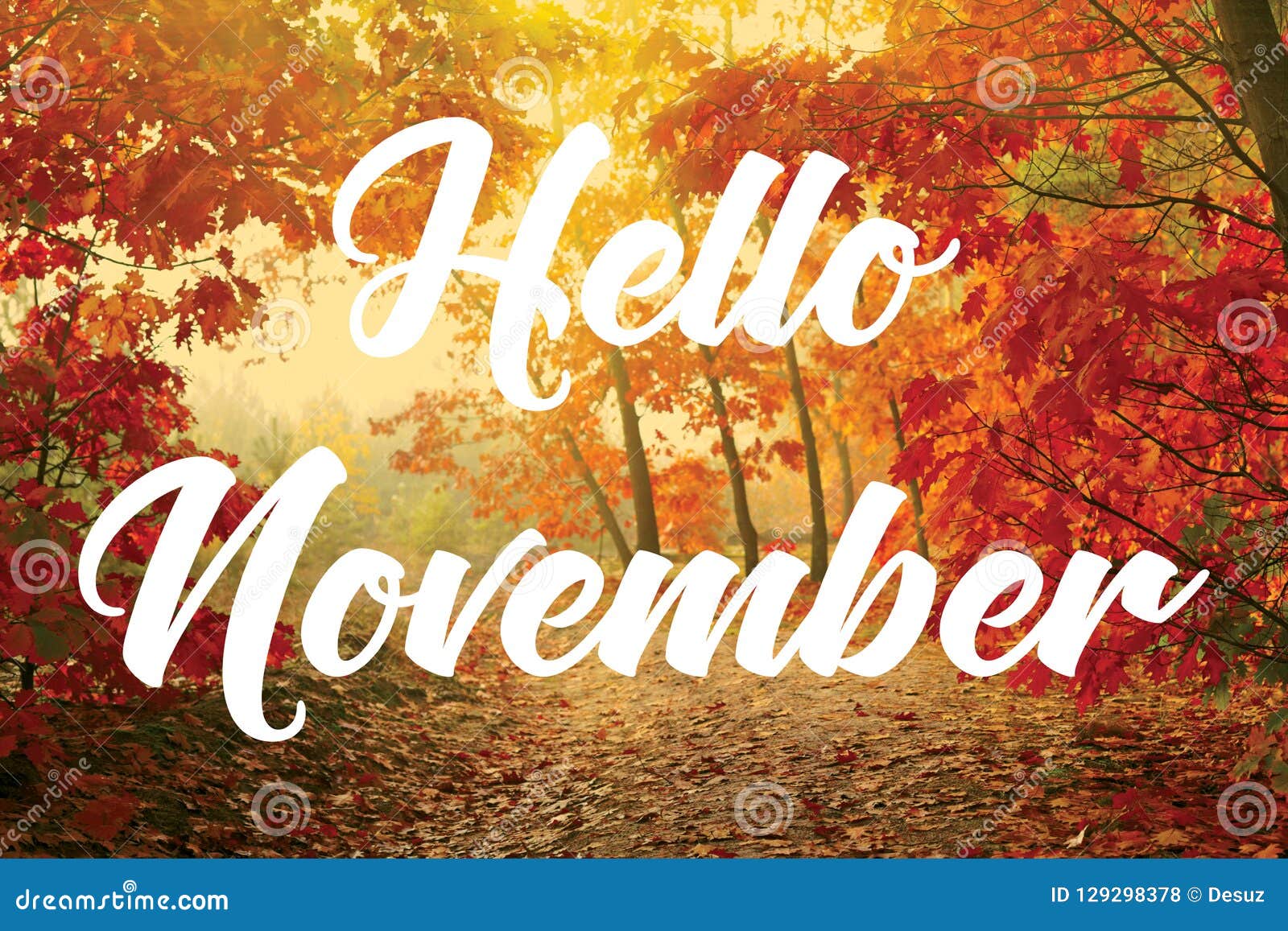 hello november