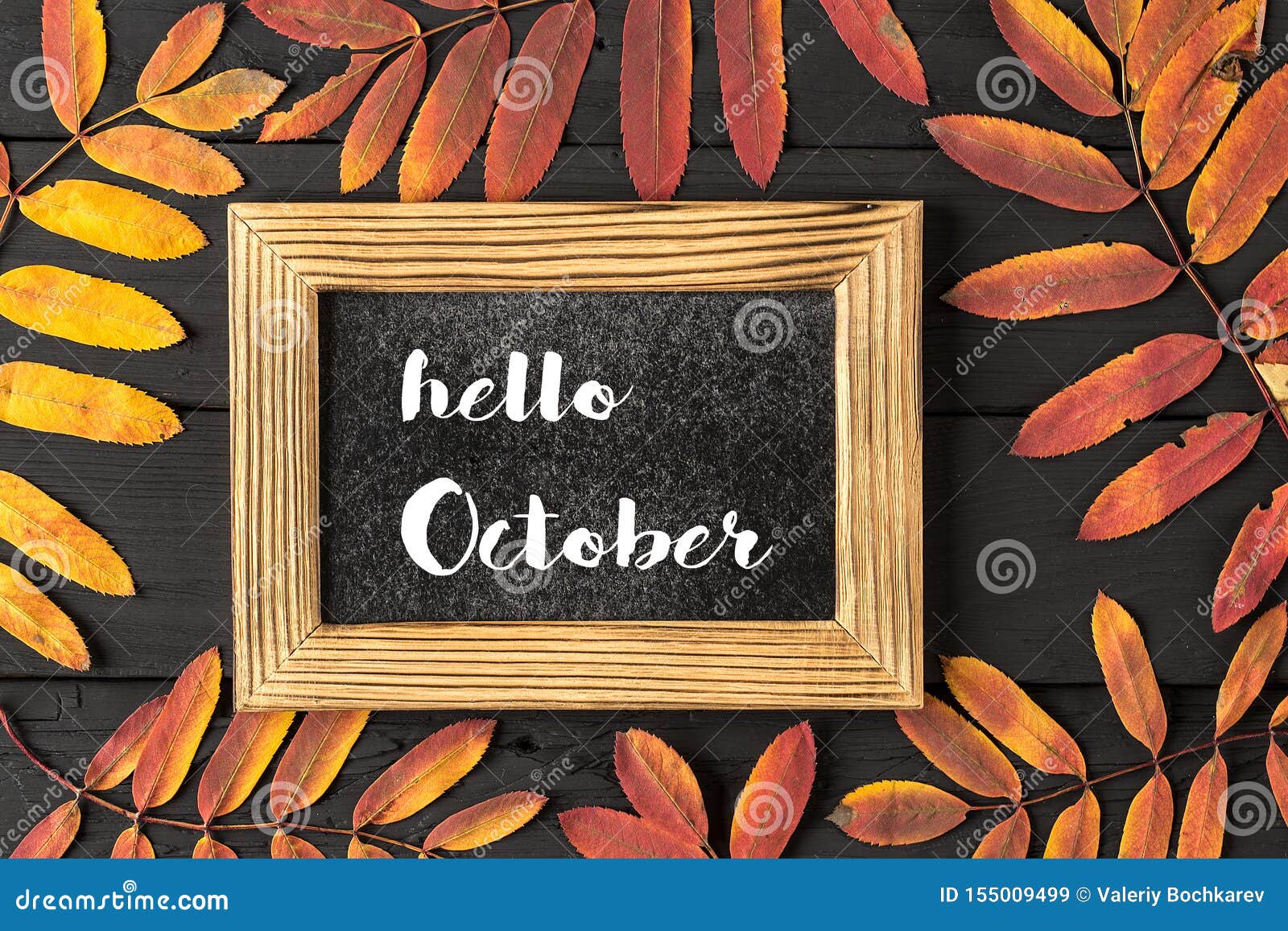 hello october lettering card. concept of the fall season