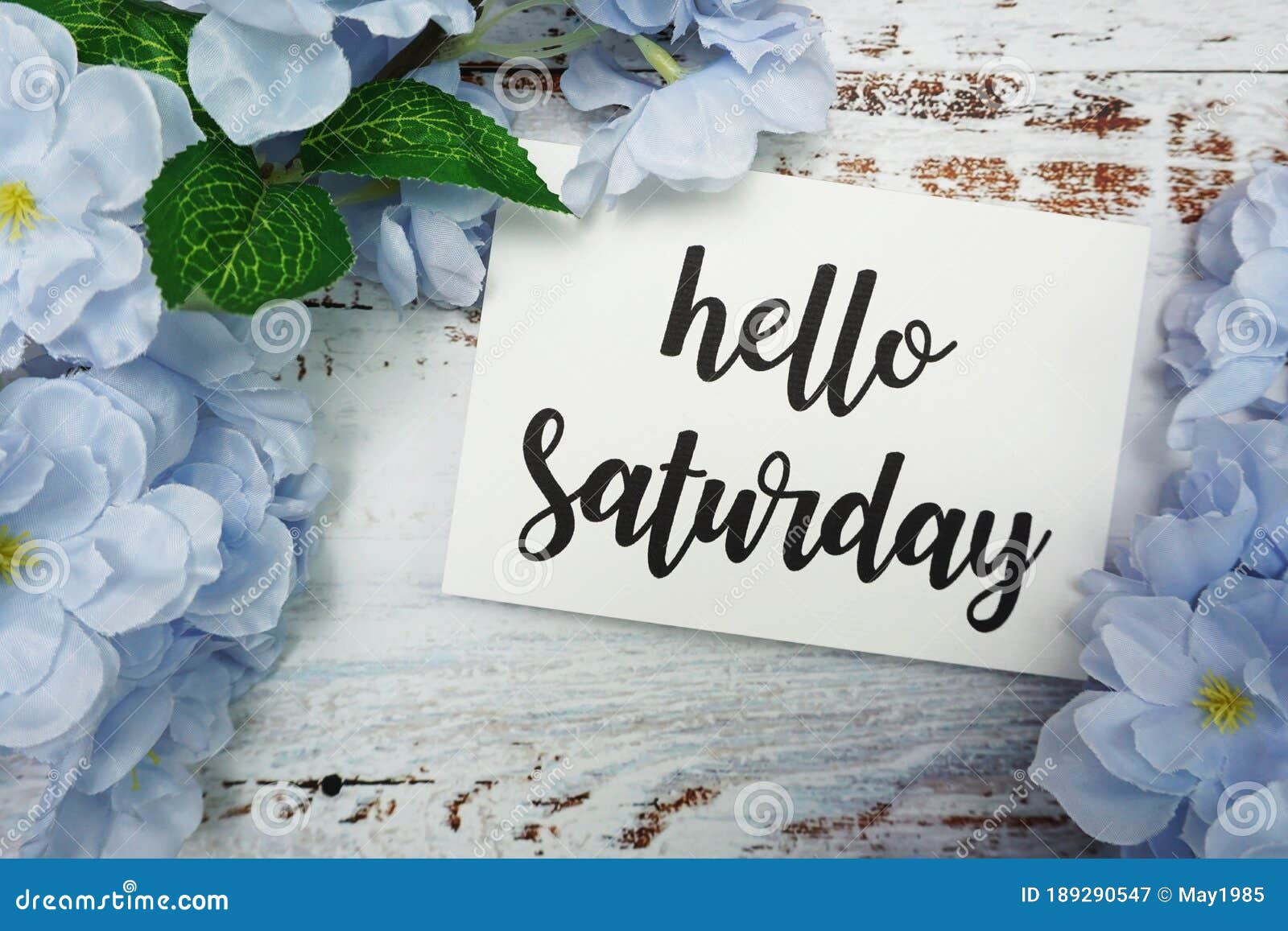 Hello Saturday Card With Blooming Flower On Wooden Background Stock