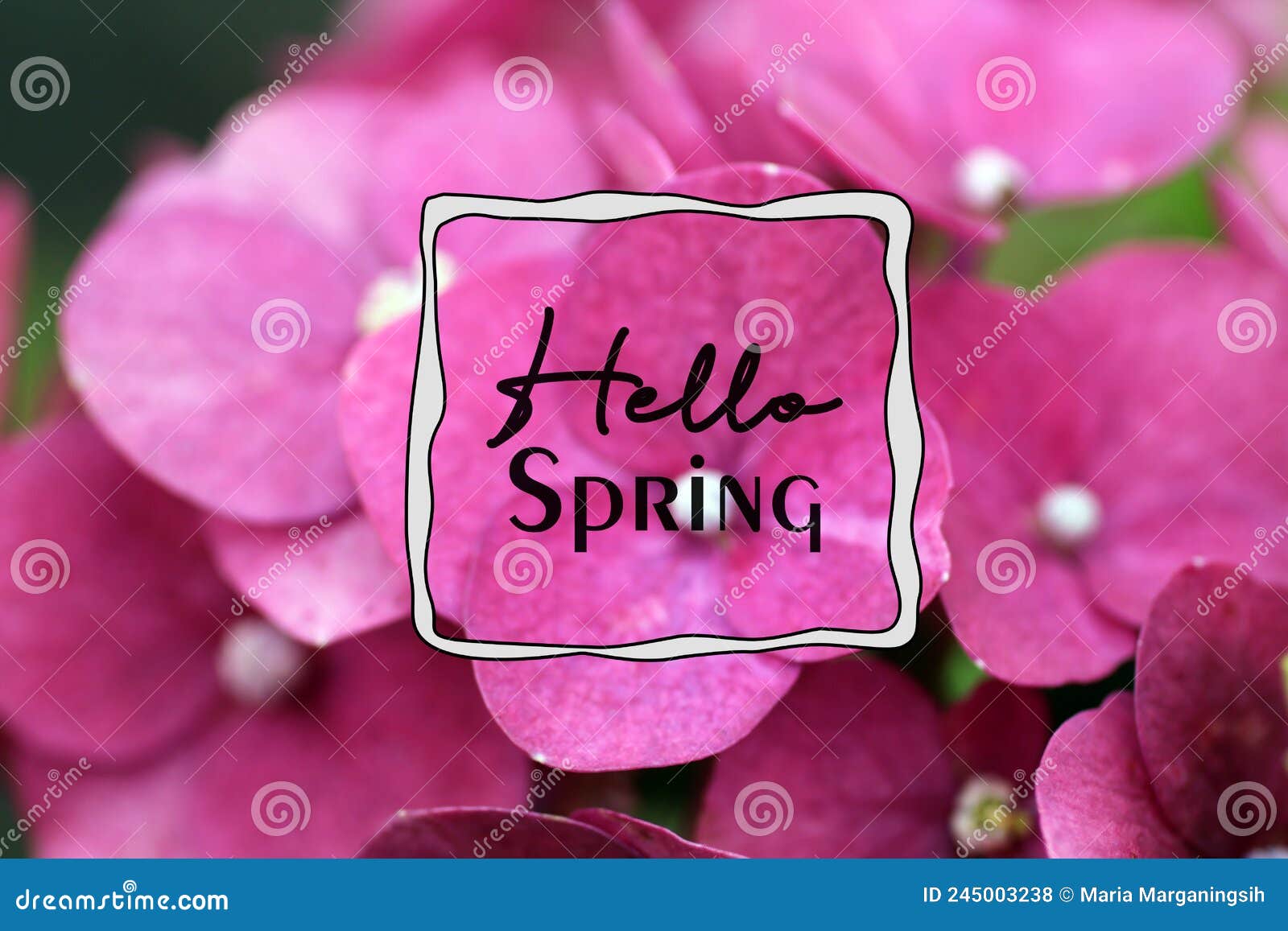 hello spring. spring card with text  on blur pink spring flowers background.