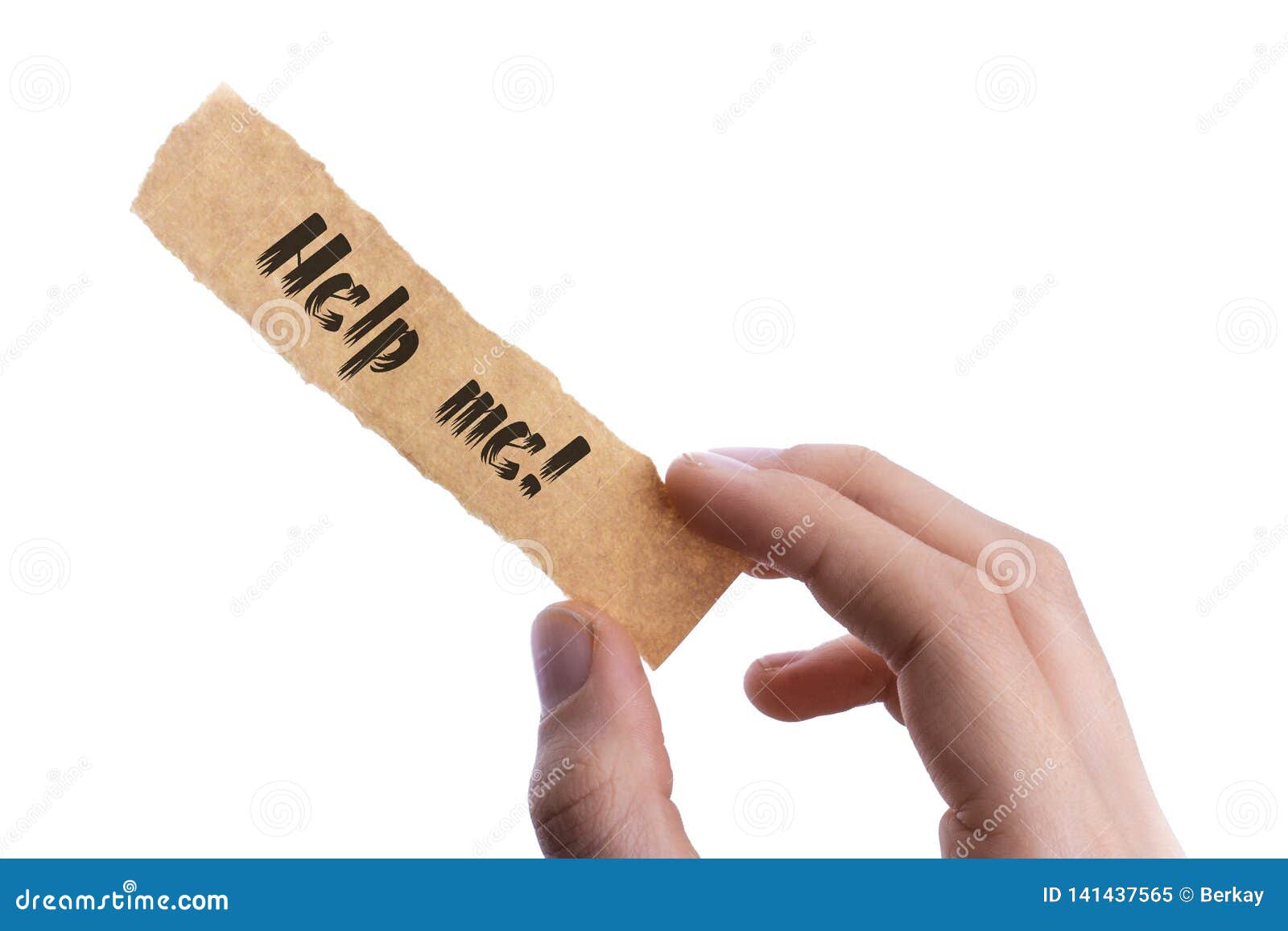 Free Essays, Term Papers, Research Paper, and Book Report help me essays
