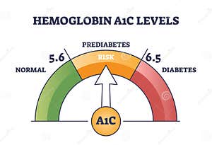 Hemoglobin Diagram Science Vector Illustration Graphic CartoonDealer 