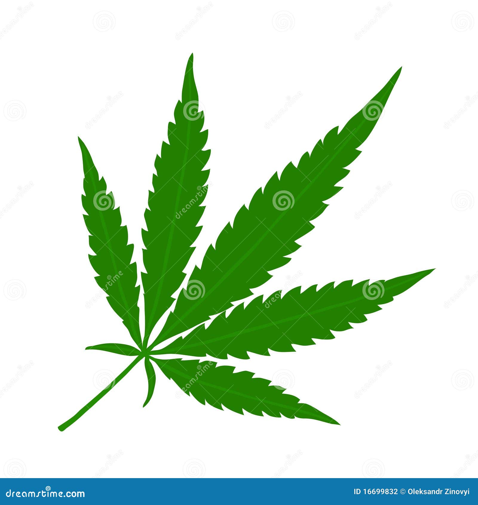 Hemp leaf stock vector. Illustration of green, hand, drawing 16699832
