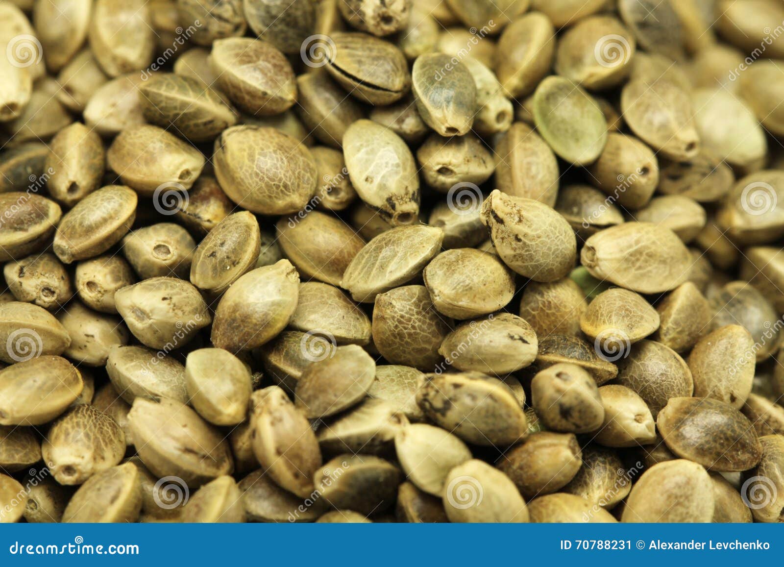 Hemp Seed To Feed Birds Background Stock Image Image of feed, birds 70788231