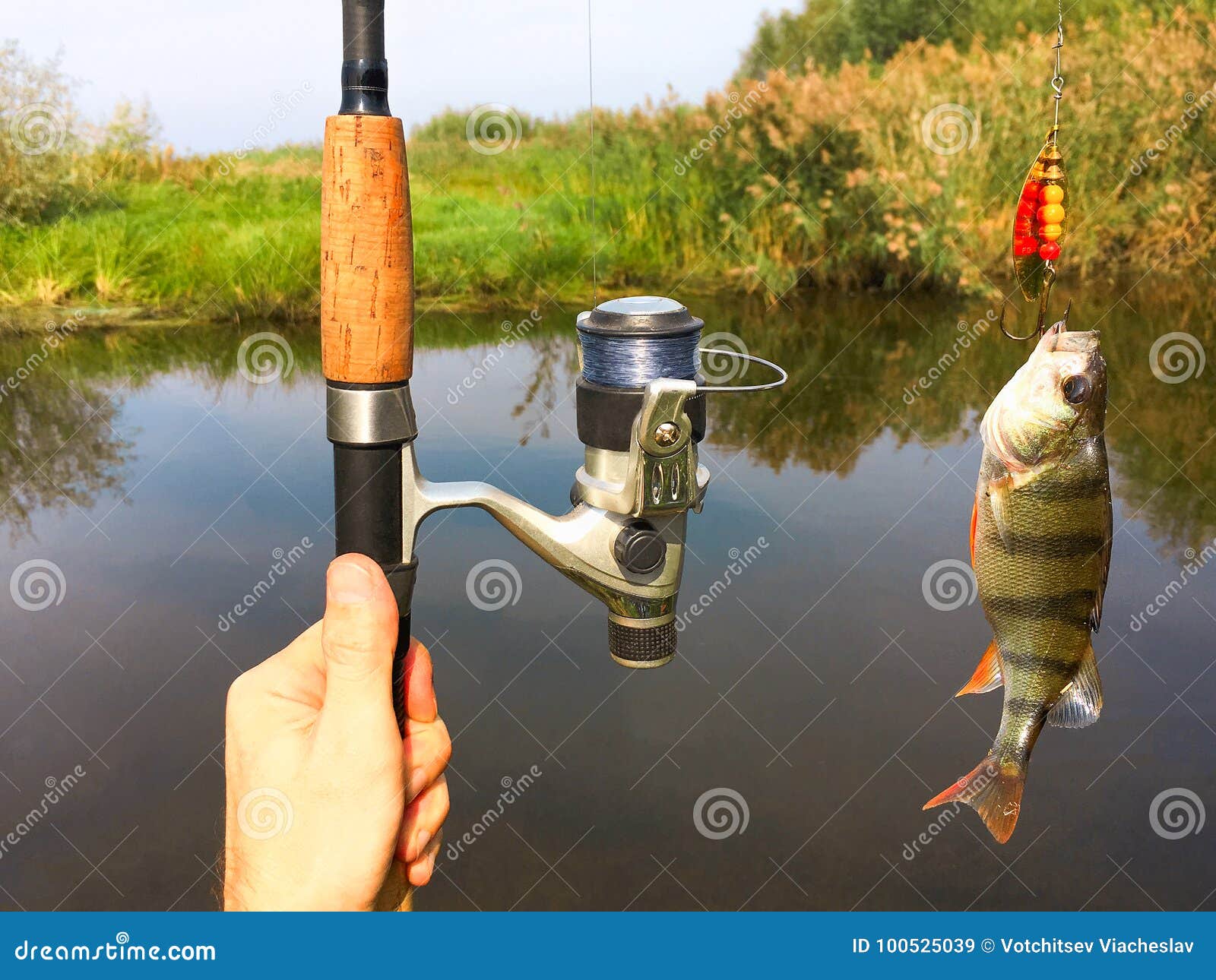 Bevriezen Celsius zuiden Hengel en een vis stock afbeelding. Image of spoel, vissen - 100525039