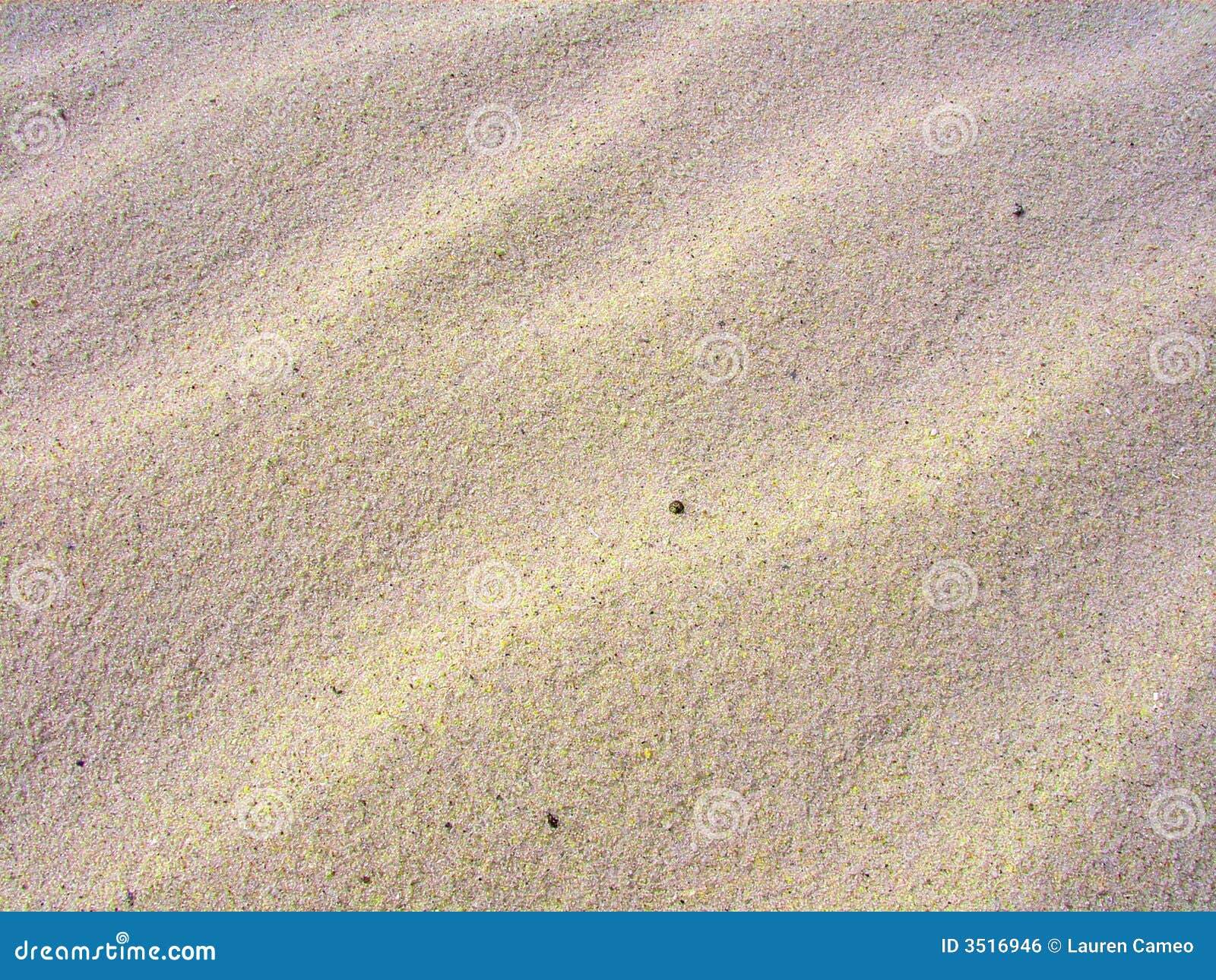 2,576,269 Beach Sand Stock Photos - Free & Royalty-Free Stock Photos from  Dreamstime