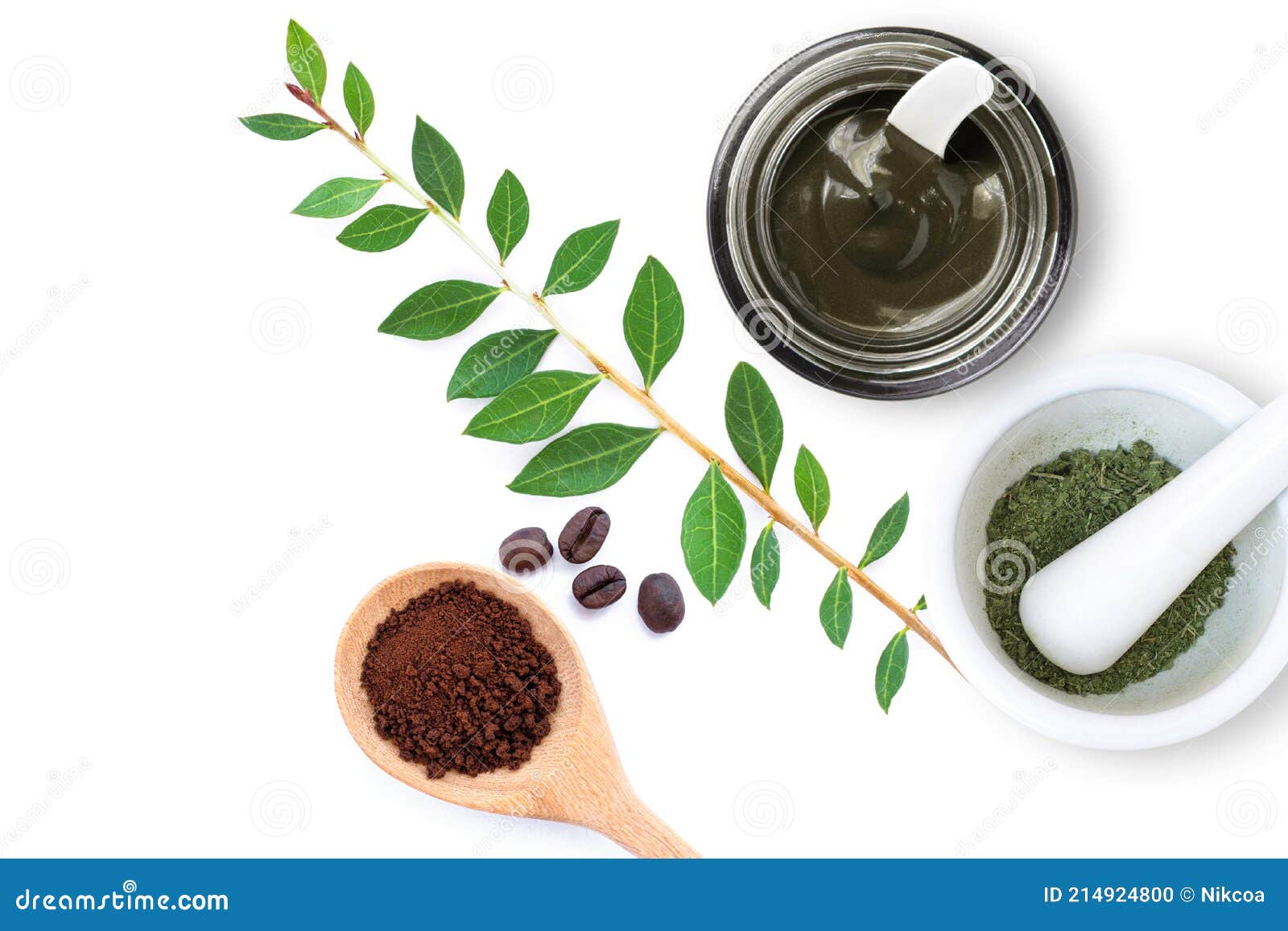 Henna leaves stock photo. Image of ayurveda, fresh, green - 214924800 Henna leaves stock photo. Image of ayurveda, fresh, green - 214924800