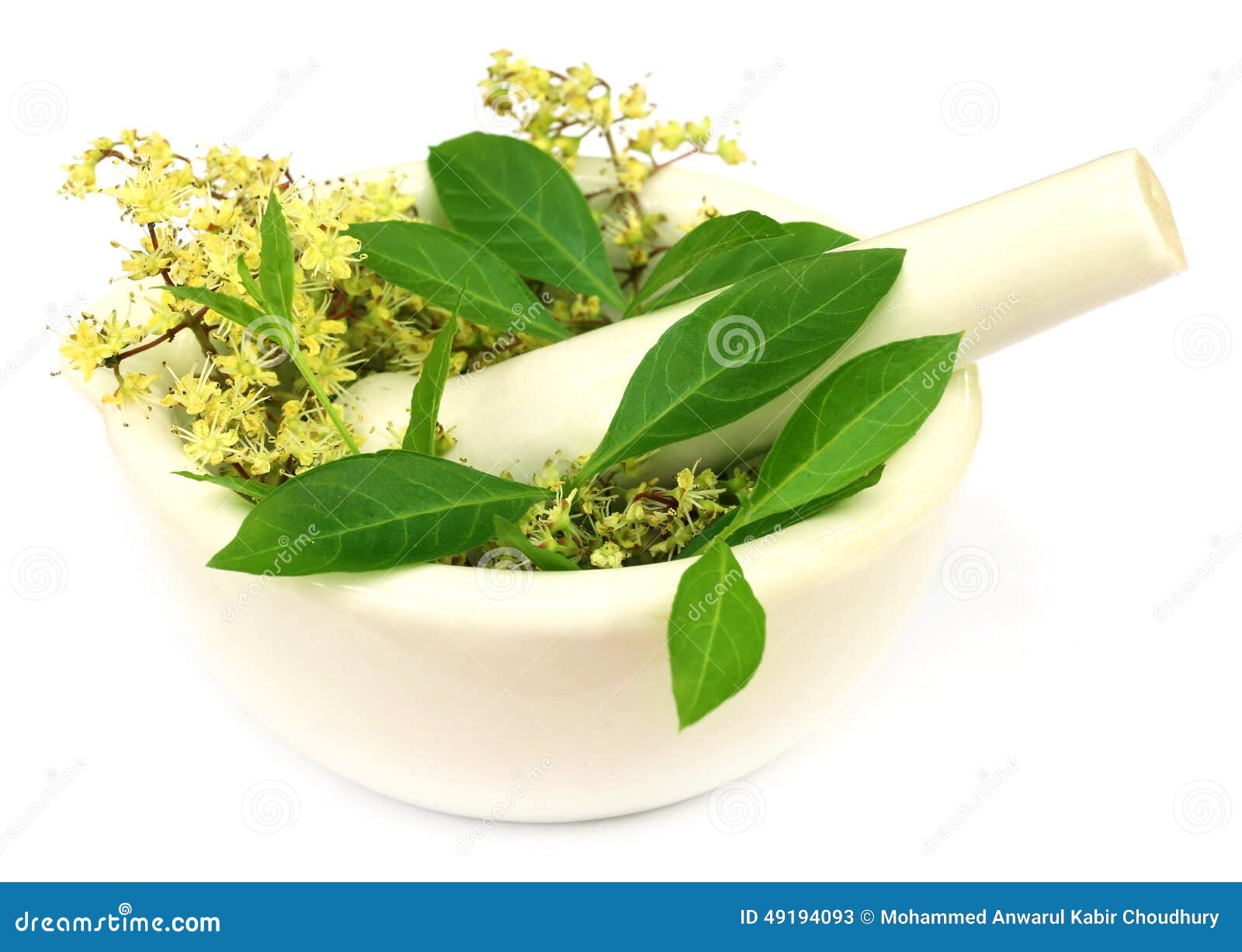 Henna Leaves With Flower Stock Photo Image 49194093