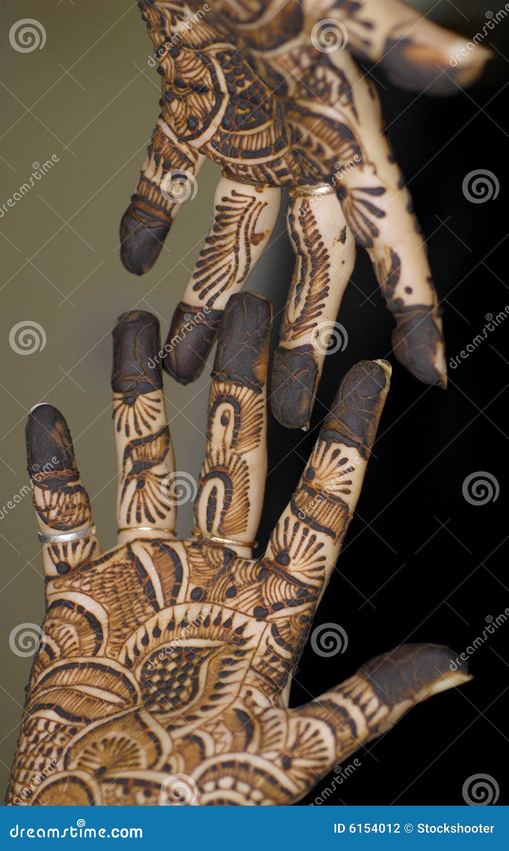 Henna Tattoo on Hands stock photo. Image of indian, herb - 6154012