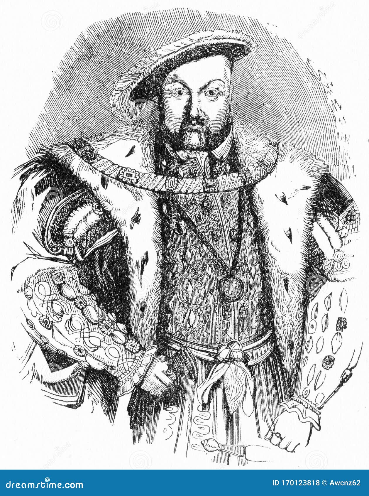 henry viii, tudor king of england