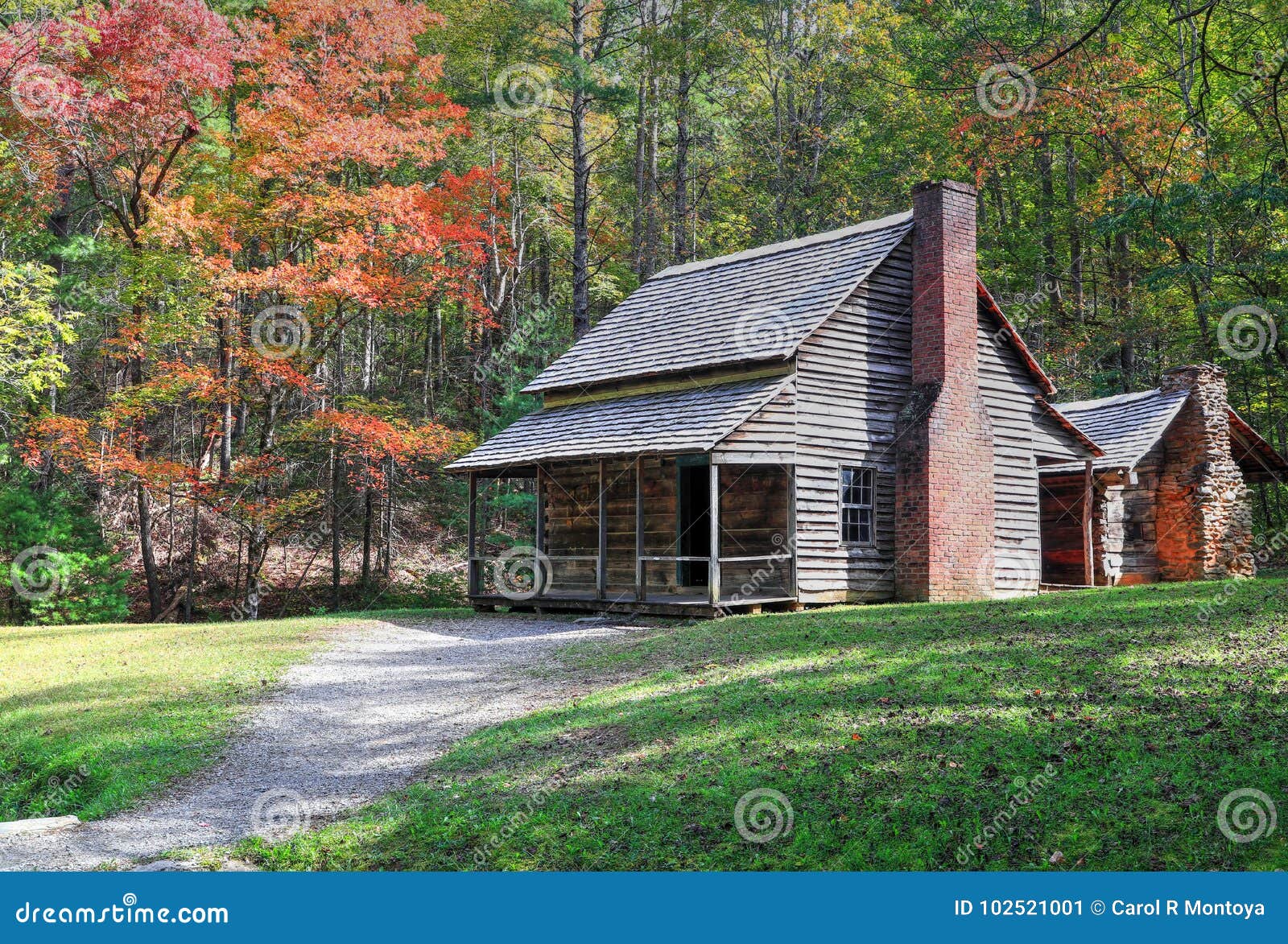 henry whitehead place in cades cove