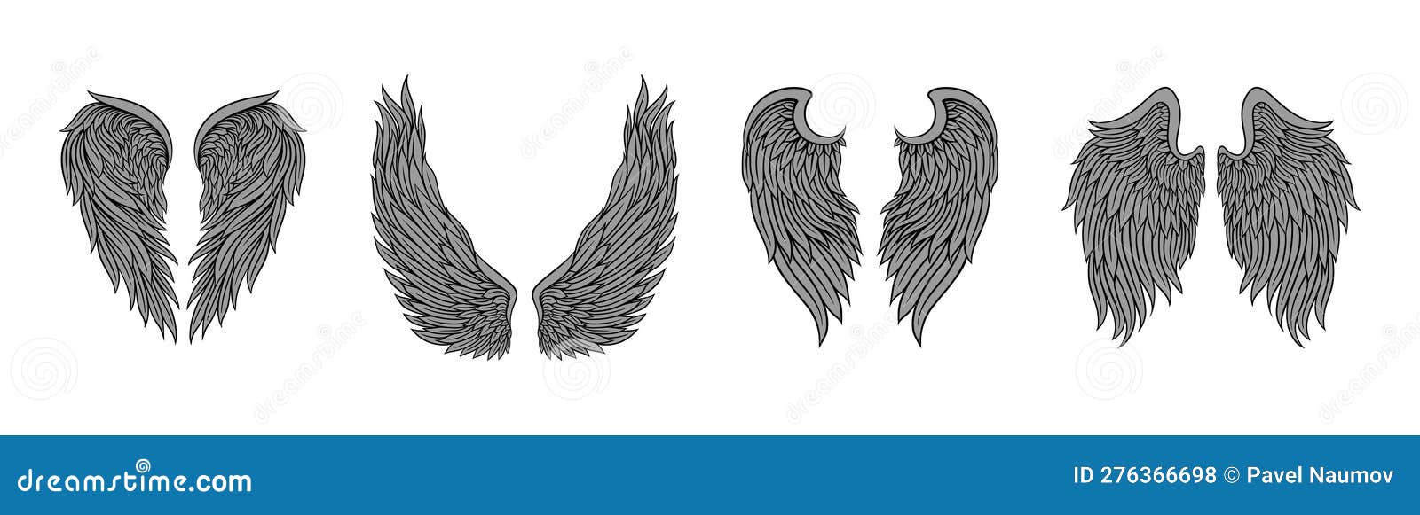 heraldic wings with feathers  on white background  set