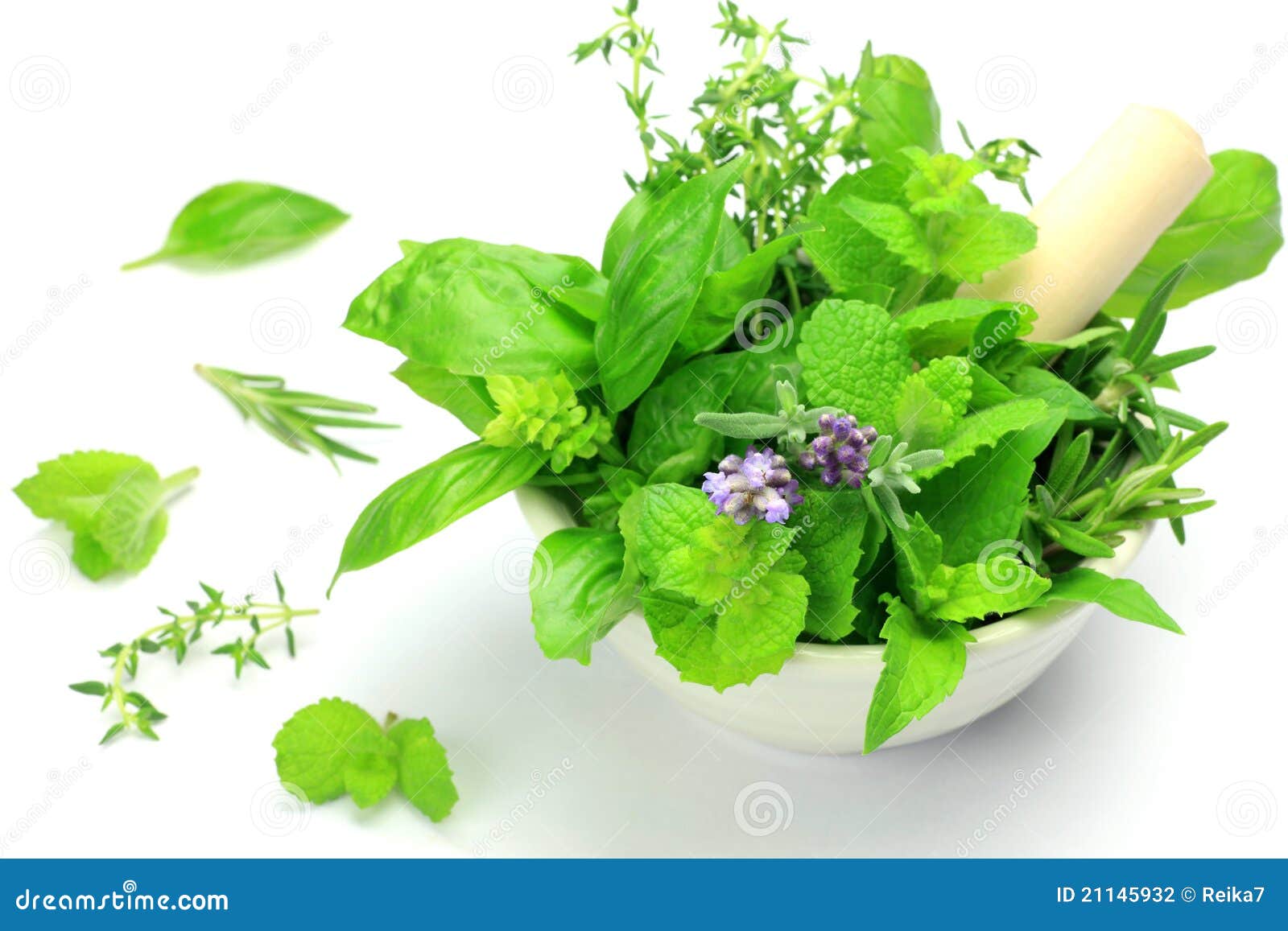 Herb stock photo. Image of background, grass, herb, aromatherapy 21145932