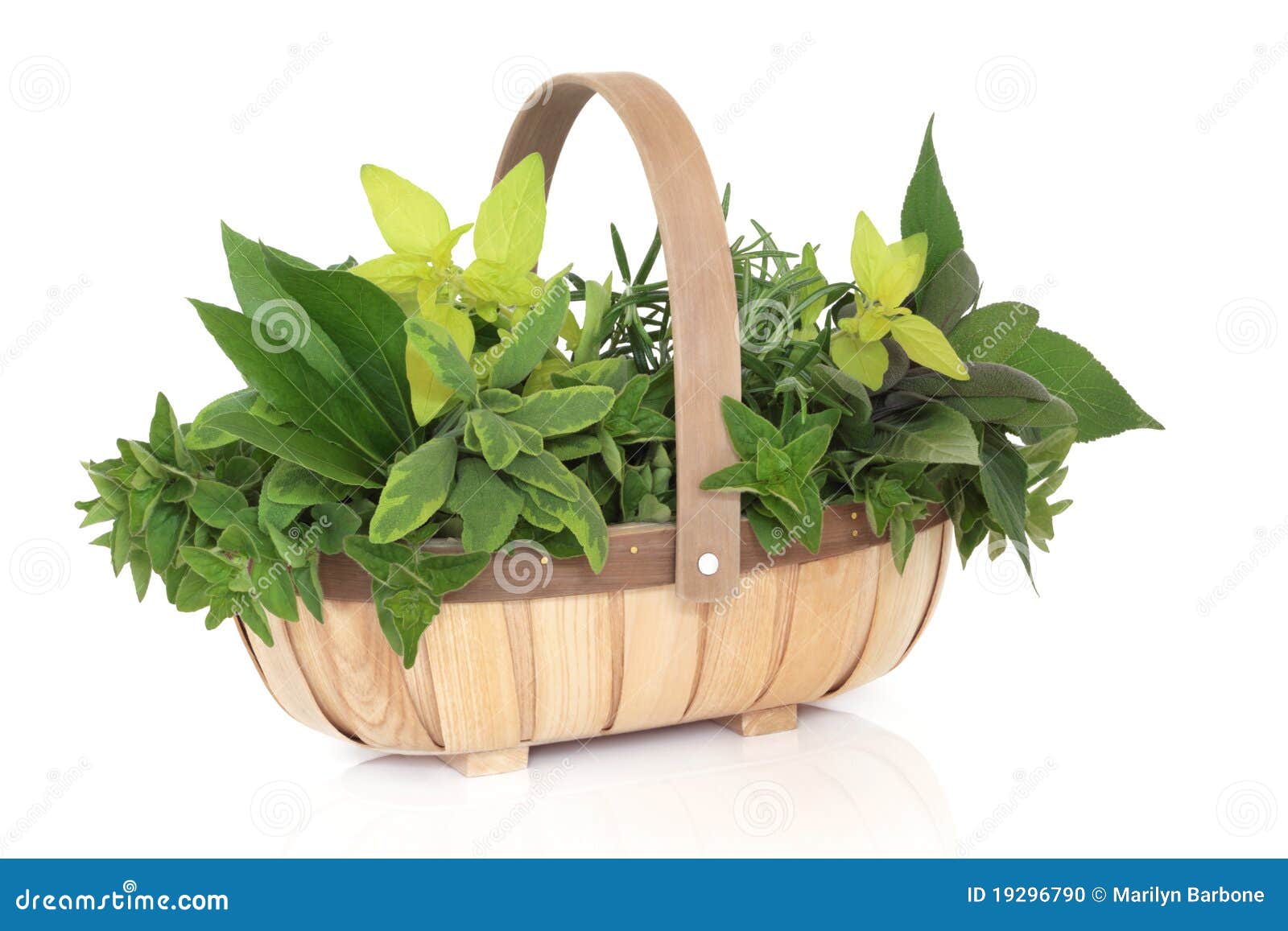 free herb garden clipart - photo #38