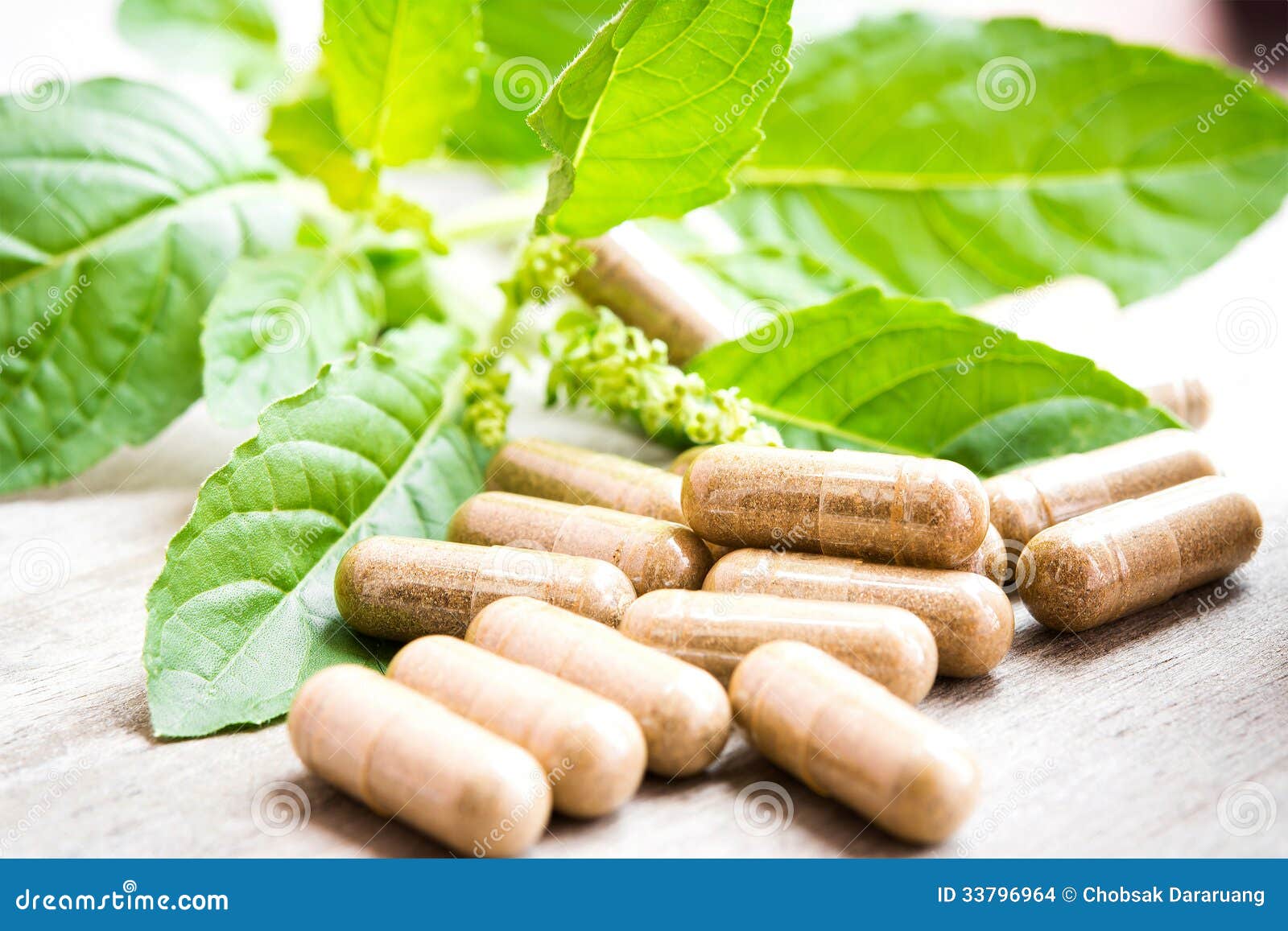 Herb capsule stock photo. Image of medicinal, herbal 33796964