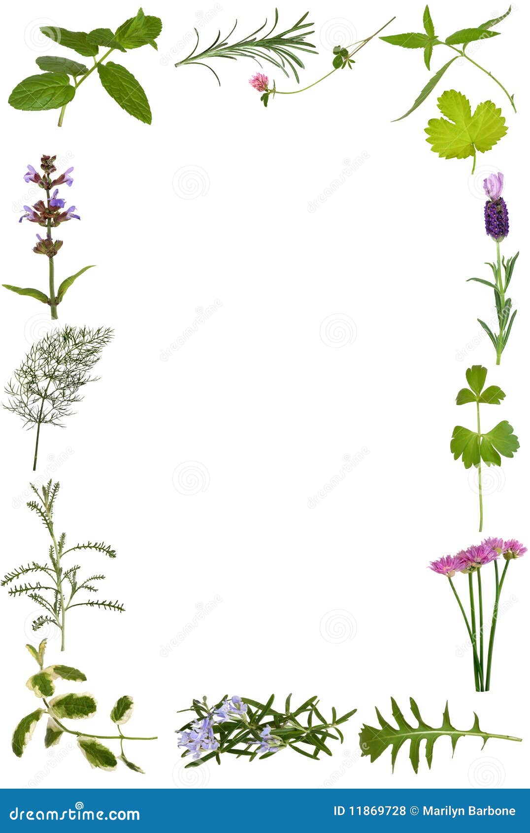 herb flower and leaf border