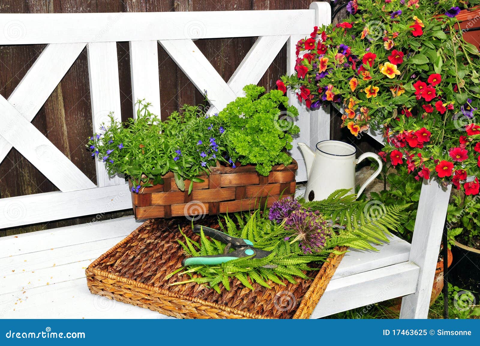 Herb garden bench stock image. Image of green, white 17463625