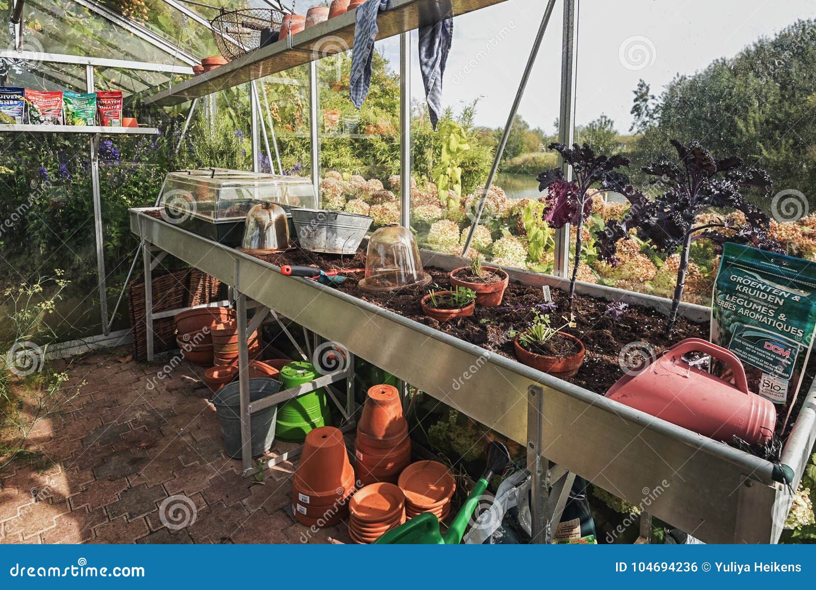Herb Garden with Greenhouse in the Garden Editorial Photo Image of