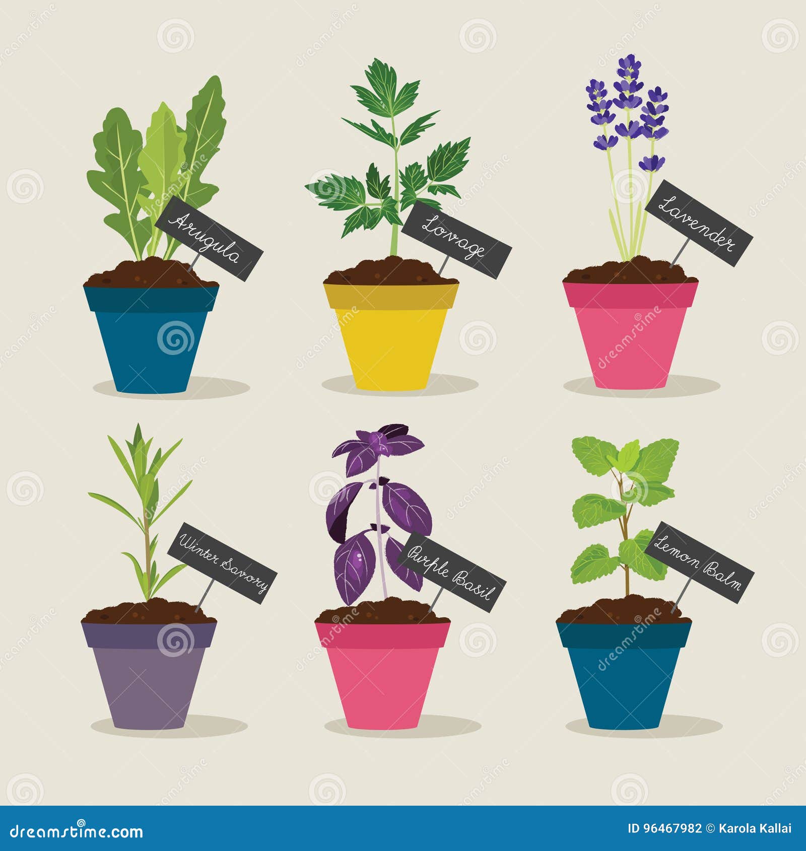 Herb Garden With Pots Of Herbs Set 2 Cartoon Vector