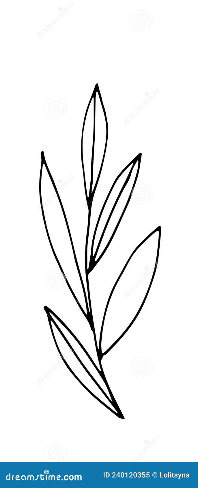 Herb. Hand Drawn Vector Herb in Doodle Style Outline Stock Vector ...