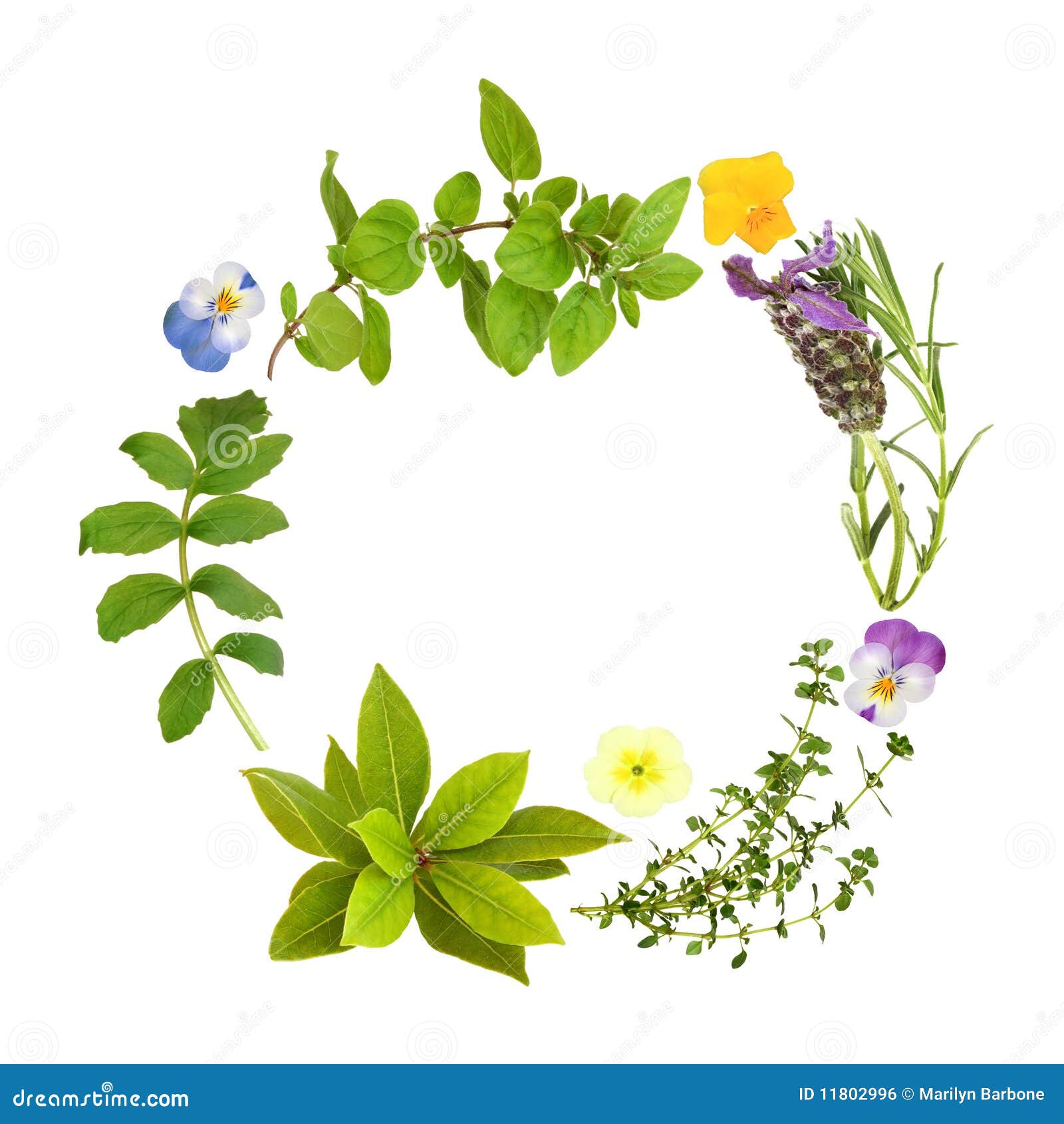 herb leaf and floral garland