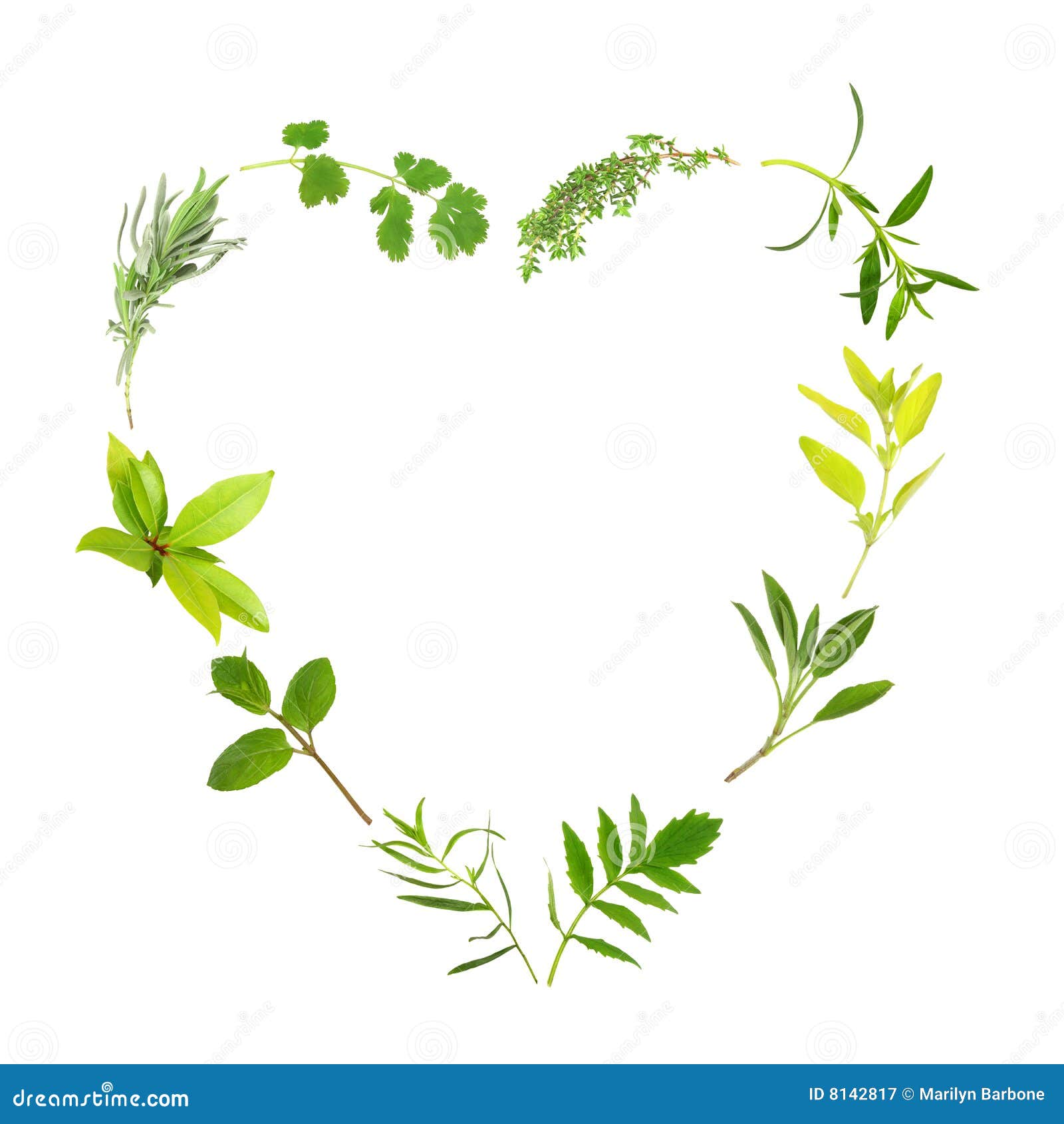 herb leaf heart