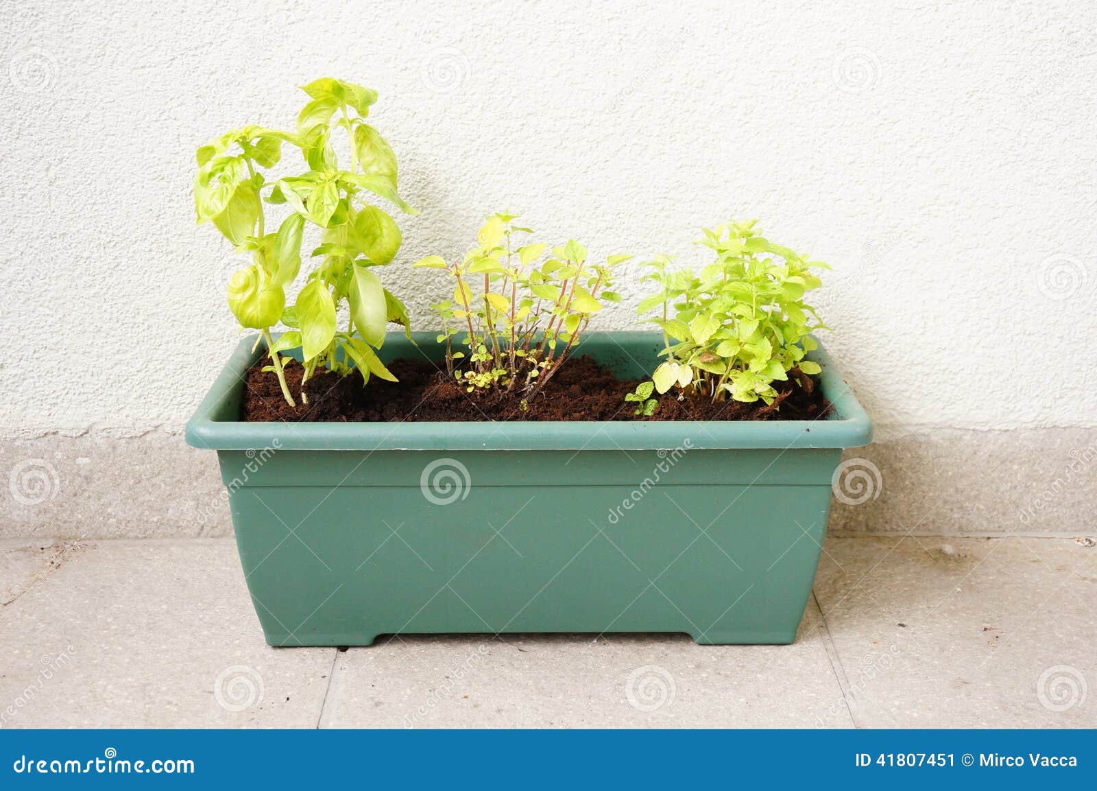 Herb mix stock image. Image of fresh, food, italian, mint 41807451