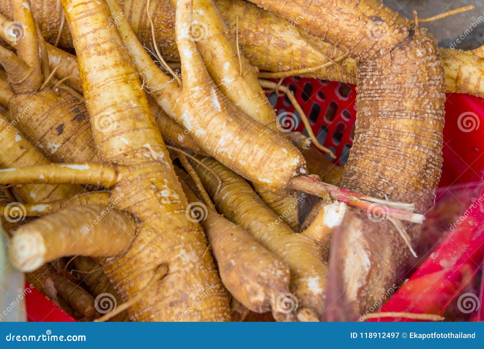 Herb Root Plant in Basket for Sell Stock Image Image of tuber, health