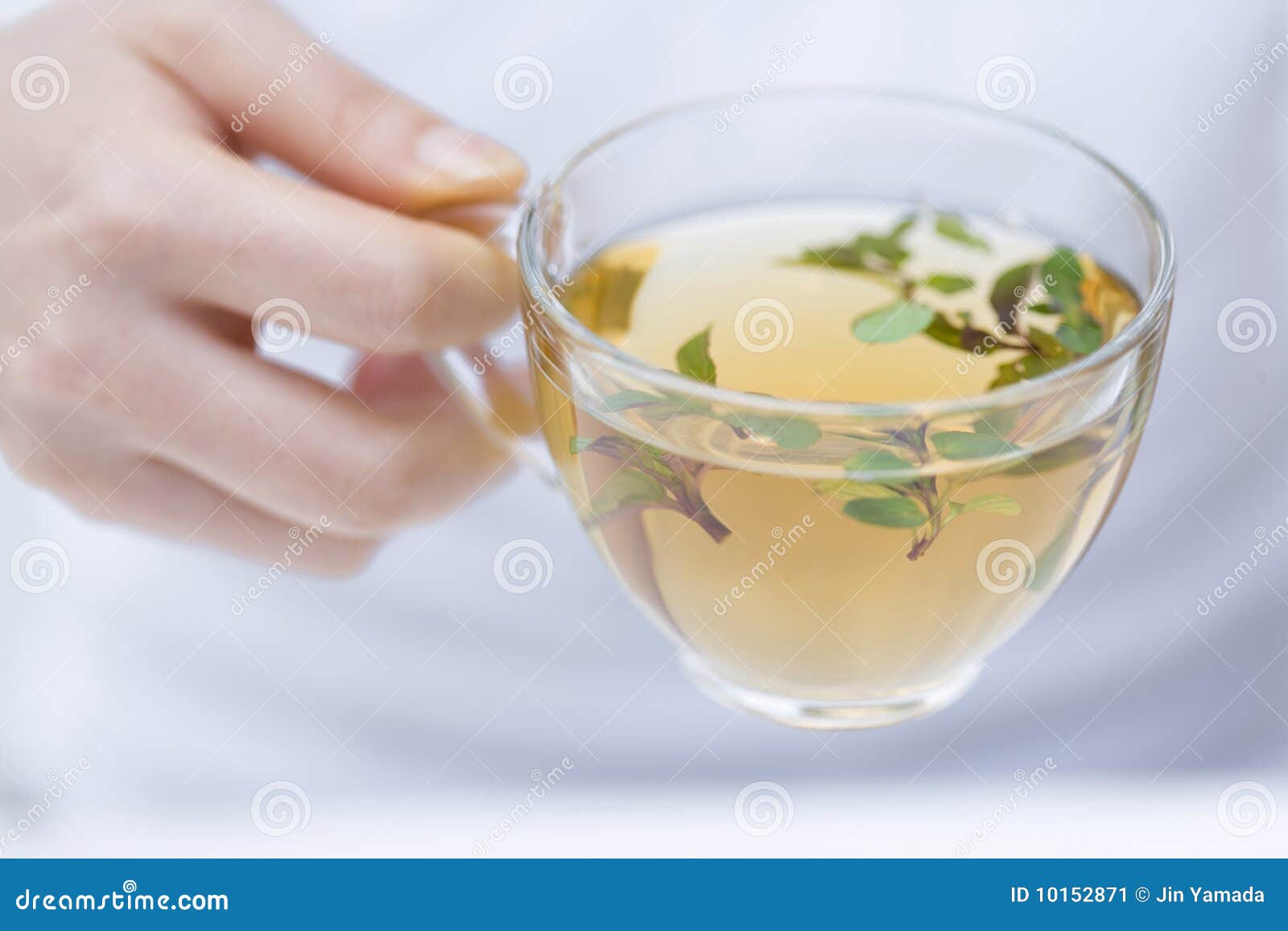 Herb Tea stock image. Image of freshness, isolated, materials 10152871