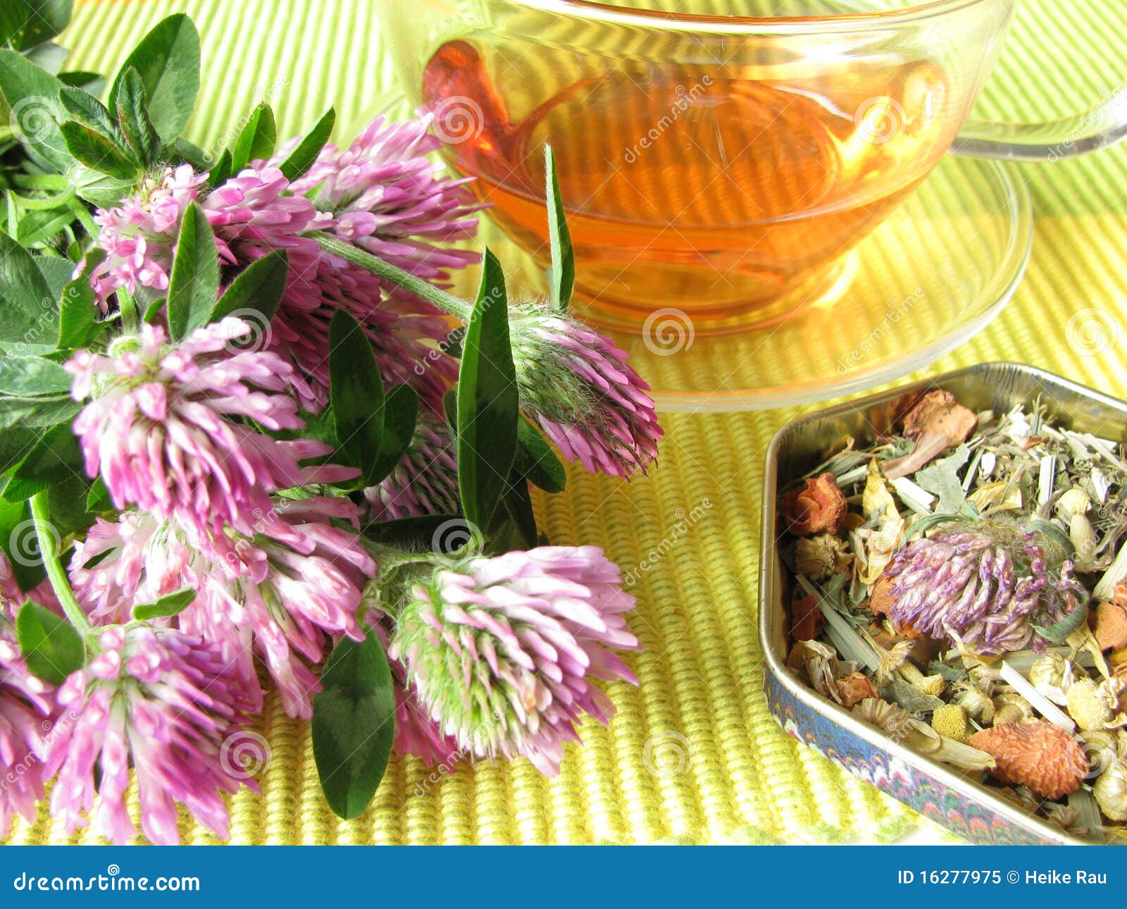 Herb tea with red clover stock image. Image of herb, herbal 16277975