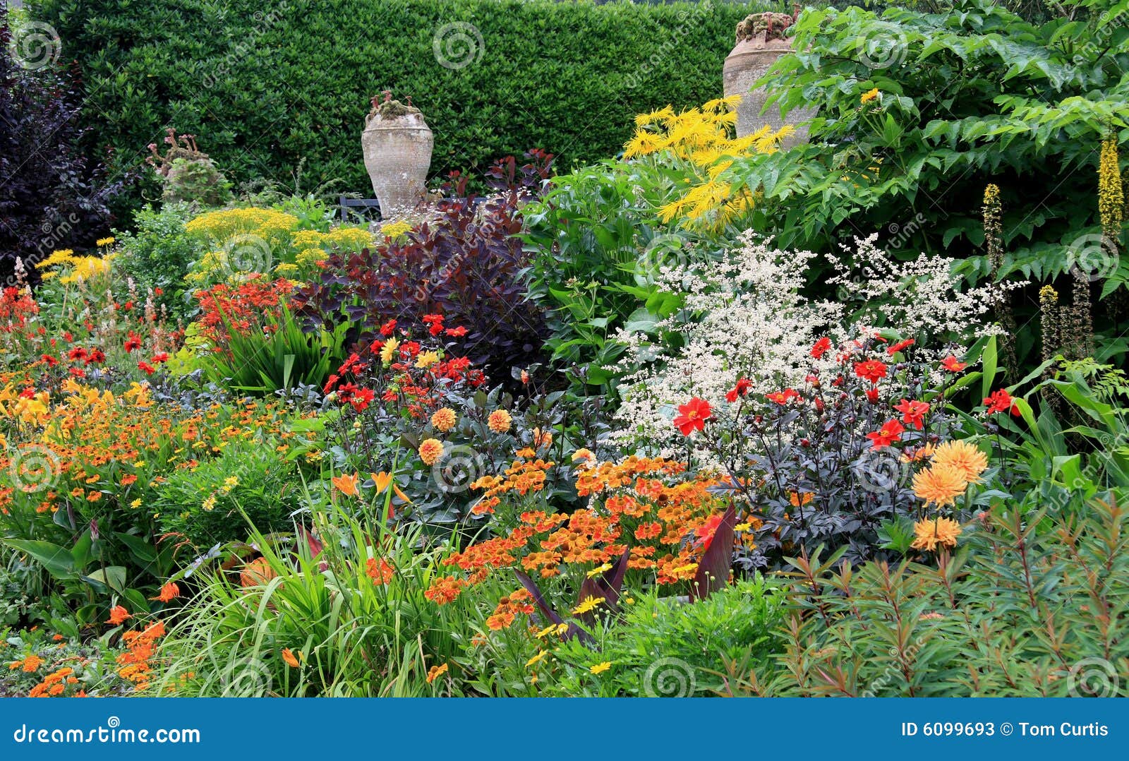 herbaceous border