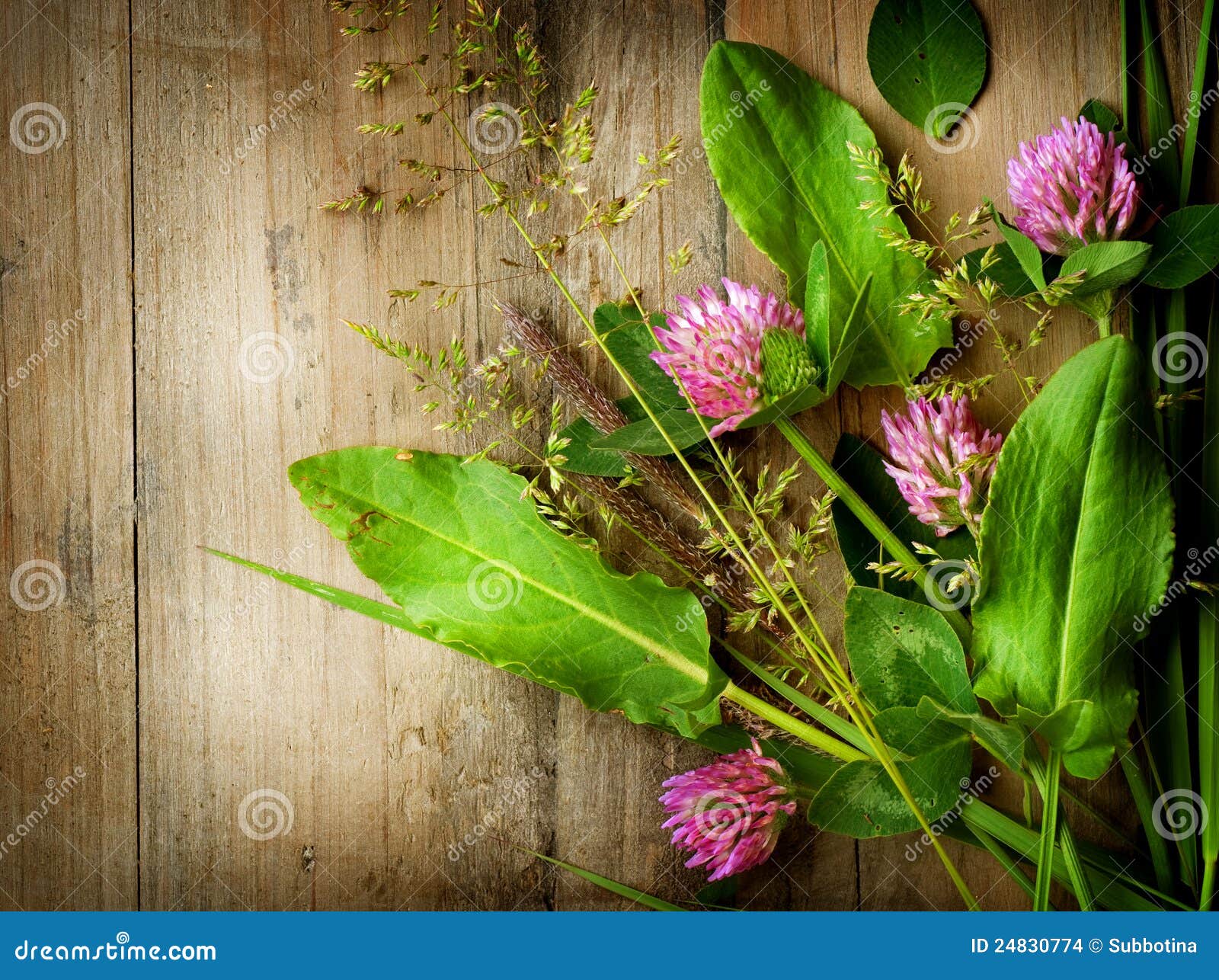 Herbal Background stock photo. Image of herbs, background 24830774